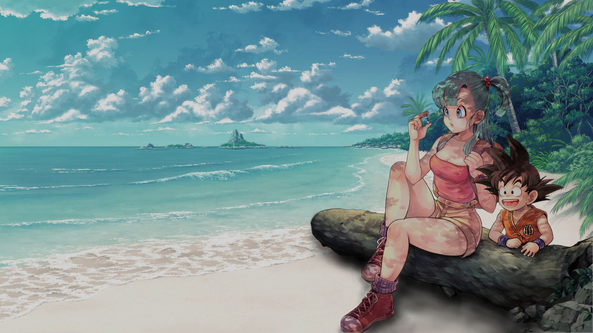 Download mobile wallpaper Anime, Beach, Dragon Ball, Goku, Bulma (Dragon Ball) for free.