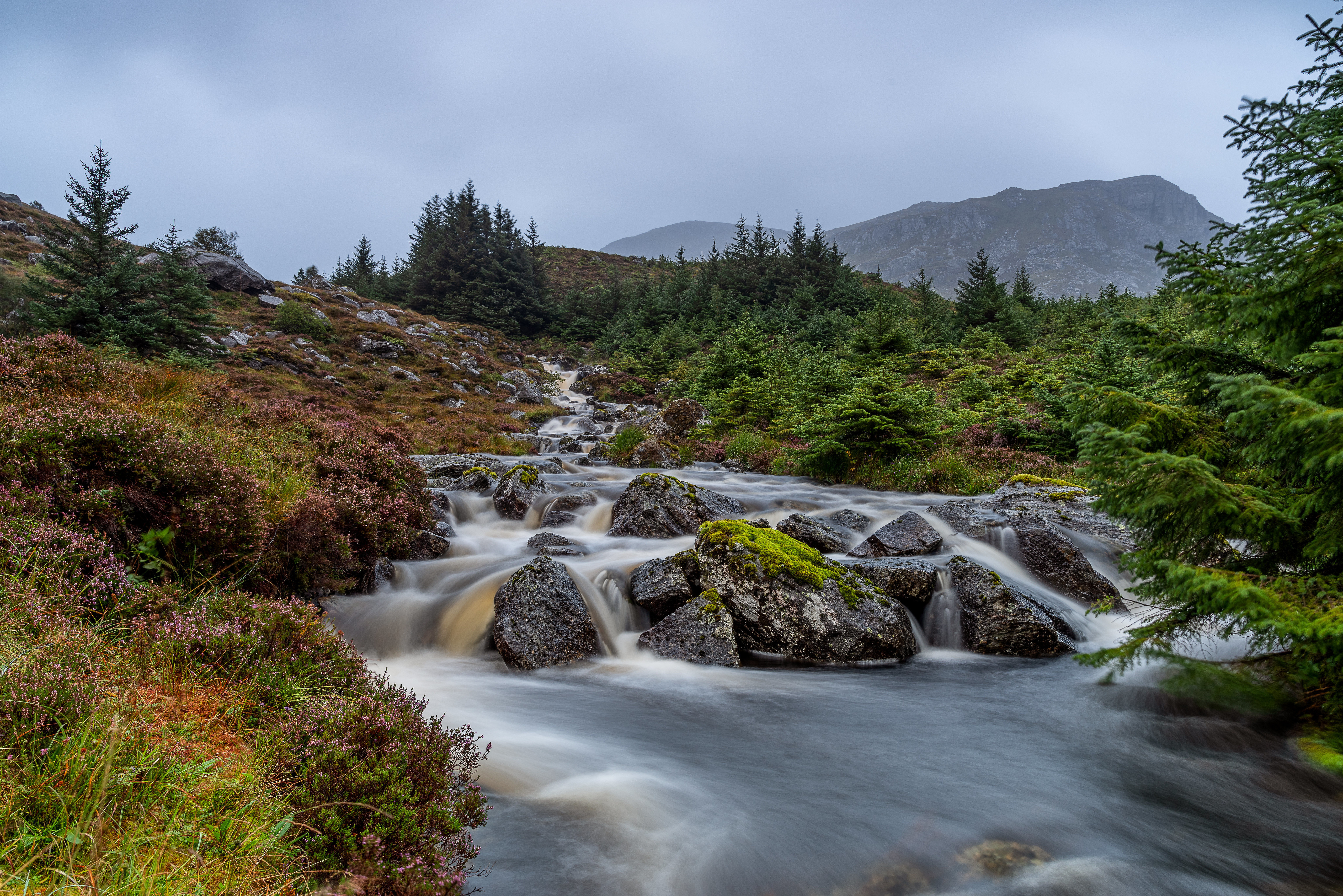 Téléchargez gratuitement l'image Norvège, Flux, La Nature, Terre/nature sur le bureau de votre PC