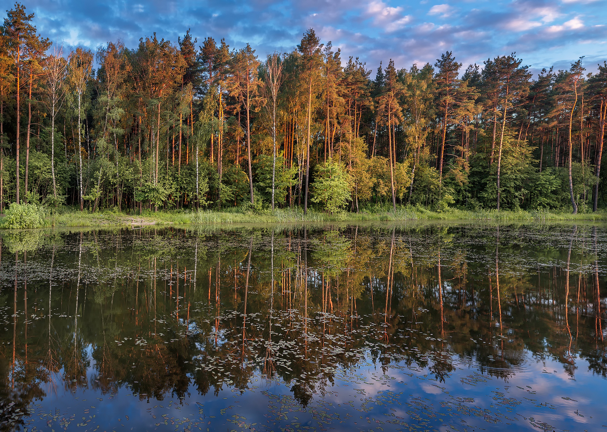 Скачати мобільні шпалери Природа, Озеро, Ліс, Дерево, Земля, Рефлексія безкоштовно.