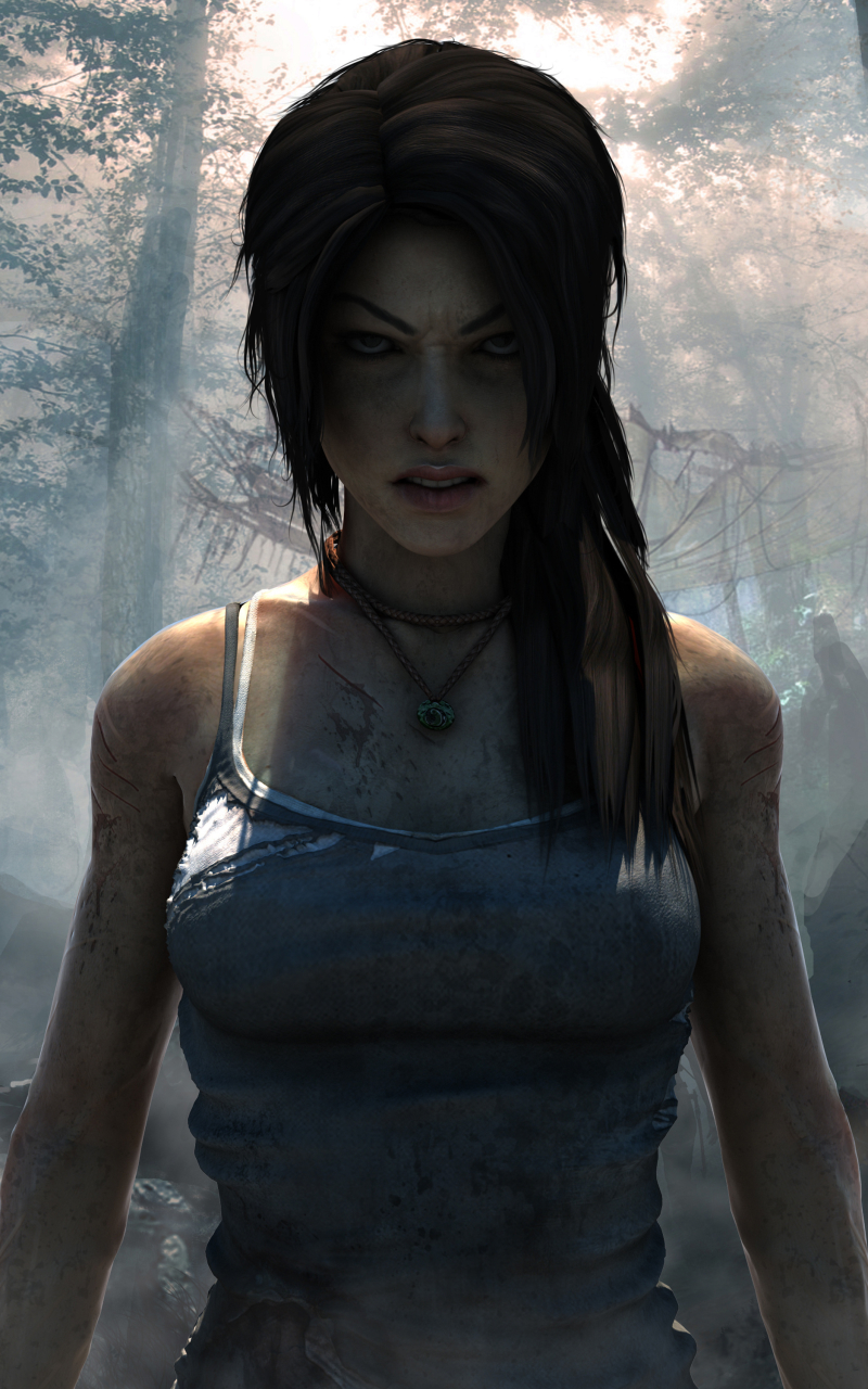 Download mobile wallpaper Tomb Raider, Video Game, Tomb Raider (2013) for free.