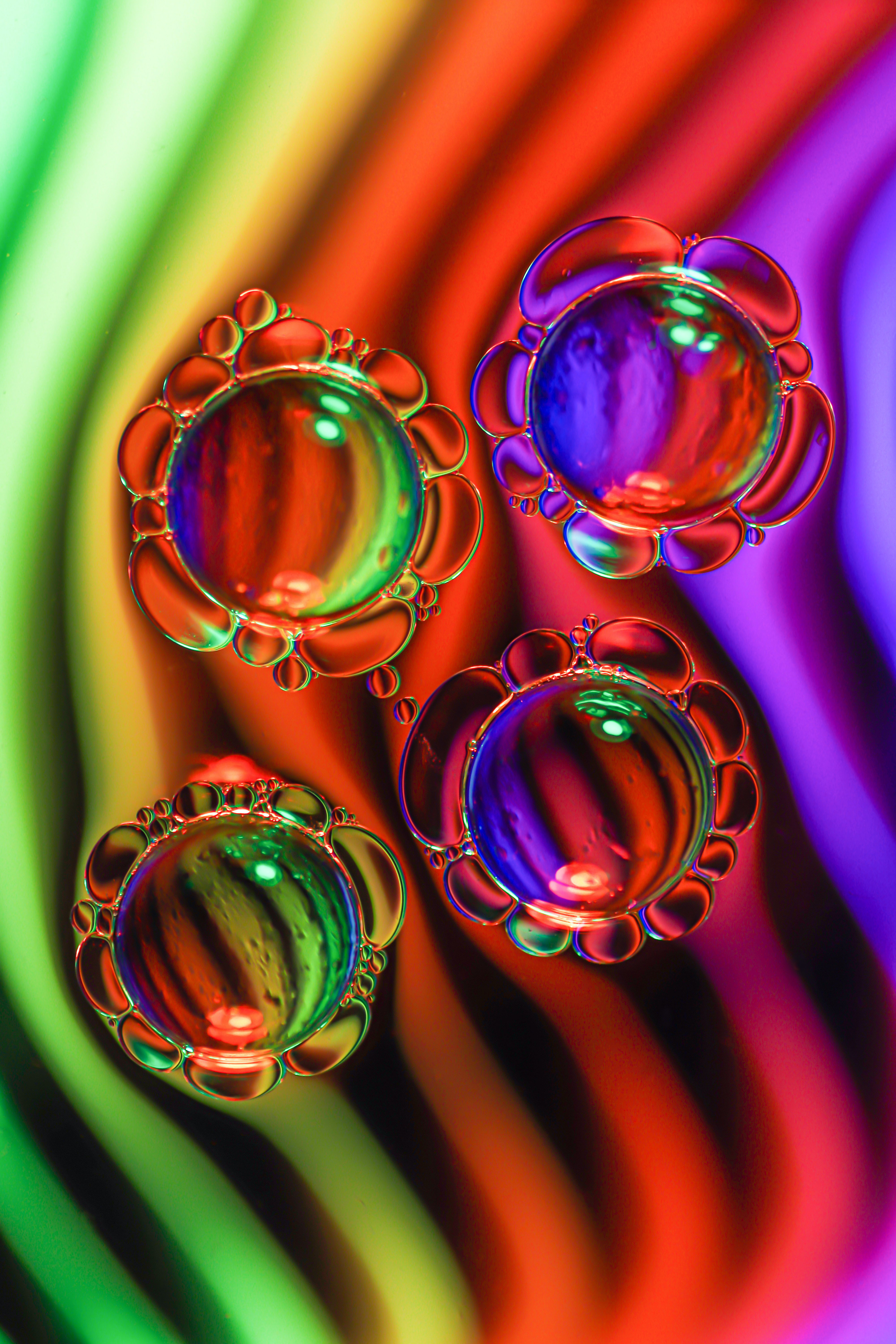 bubbles, macro, multicolored, motley, liquid, butter, oil Desktop Wallpaper
