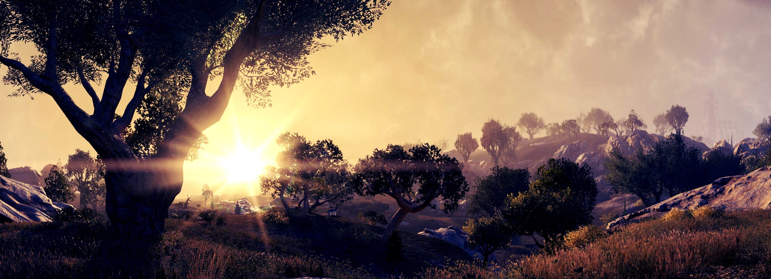 Download mobile wallpaper Sun, Tree, Video Game, The Elder Scrolls Online for free.