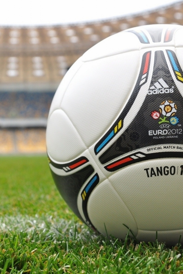 Baixar papel de parede para celular de Esportes, Futebol, Euro 2012 gratuito.