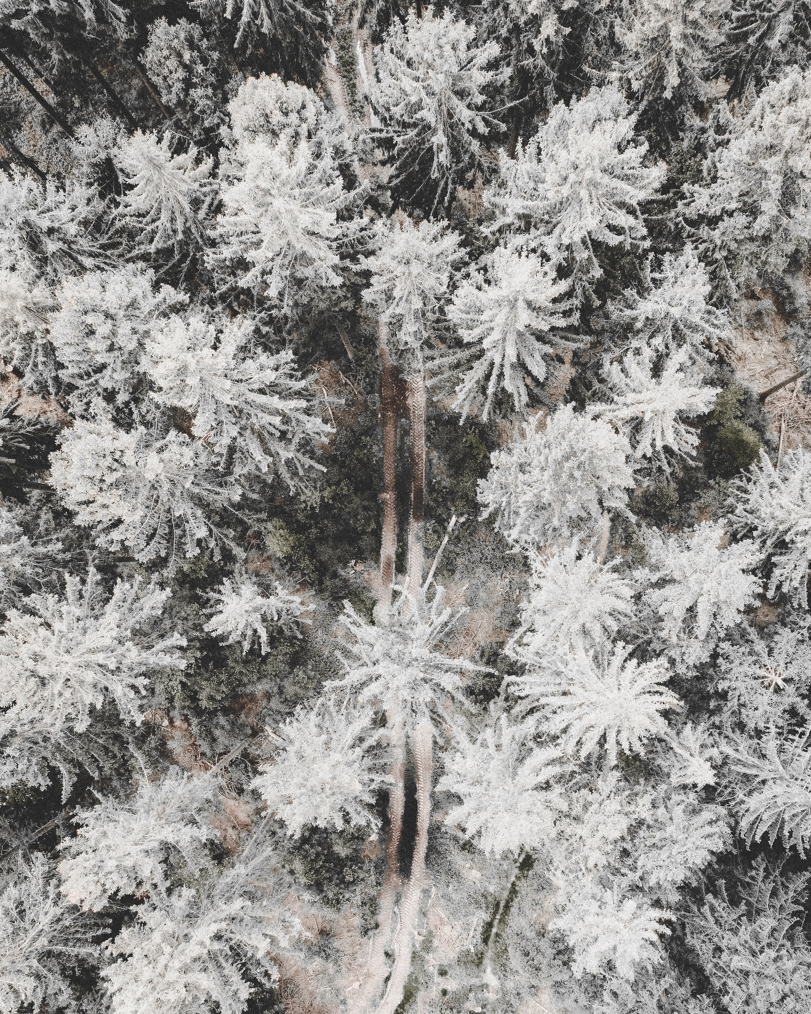 Download mobile wallpaper View From Above, Road, Winter, Trees, Forest, Nature, Snow for free.