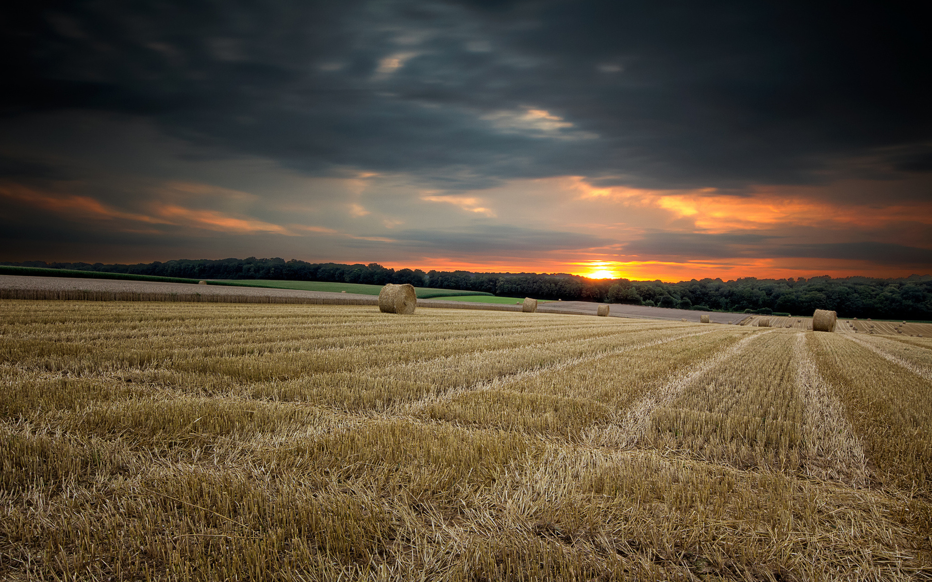 Handy-Wallpaper Feld, Erde/natur kostenlos herunterladen.