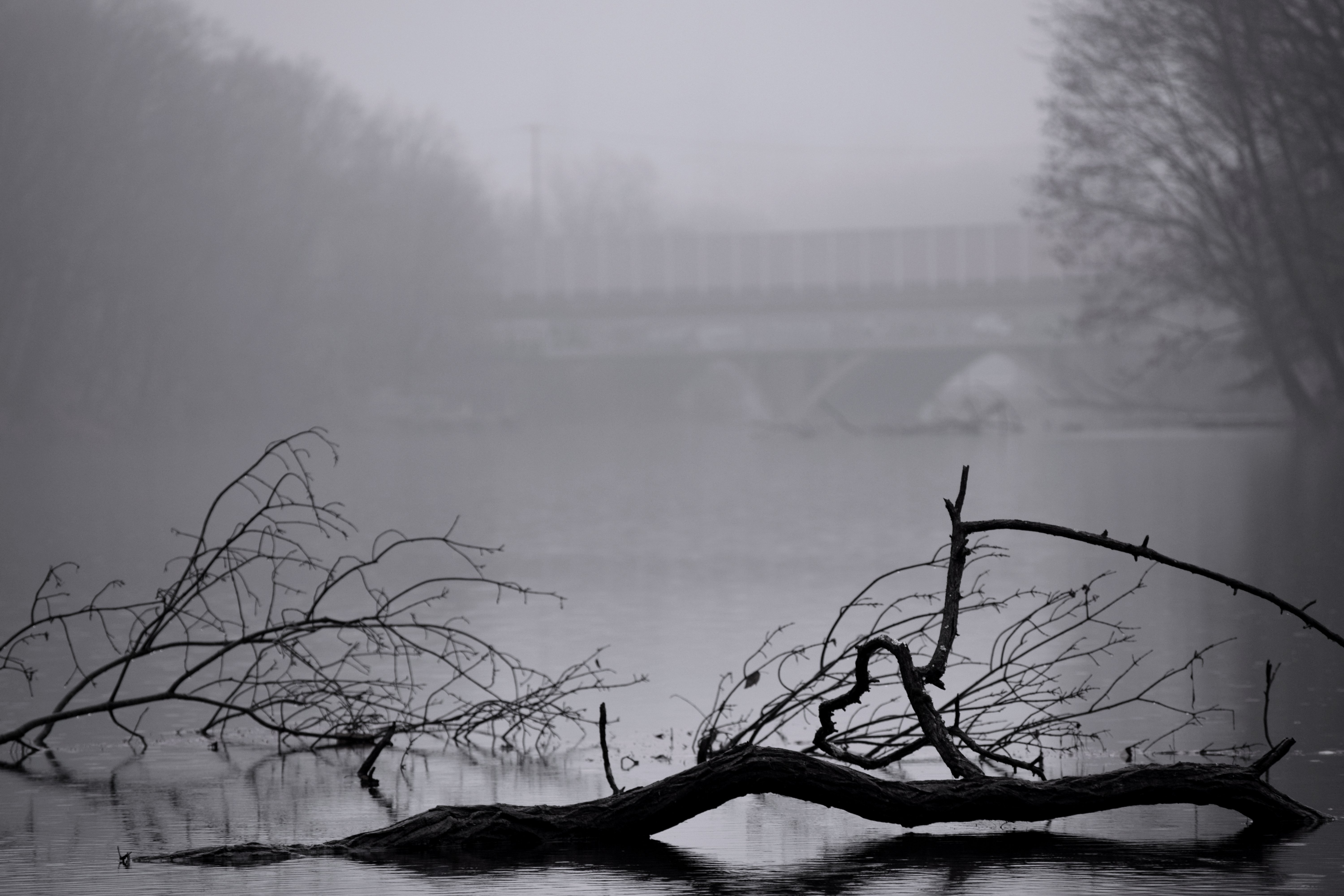 Laden Sie das Fluss, Erde/natur-Bild kostenlos auf Ihren PC-Desktop herunter