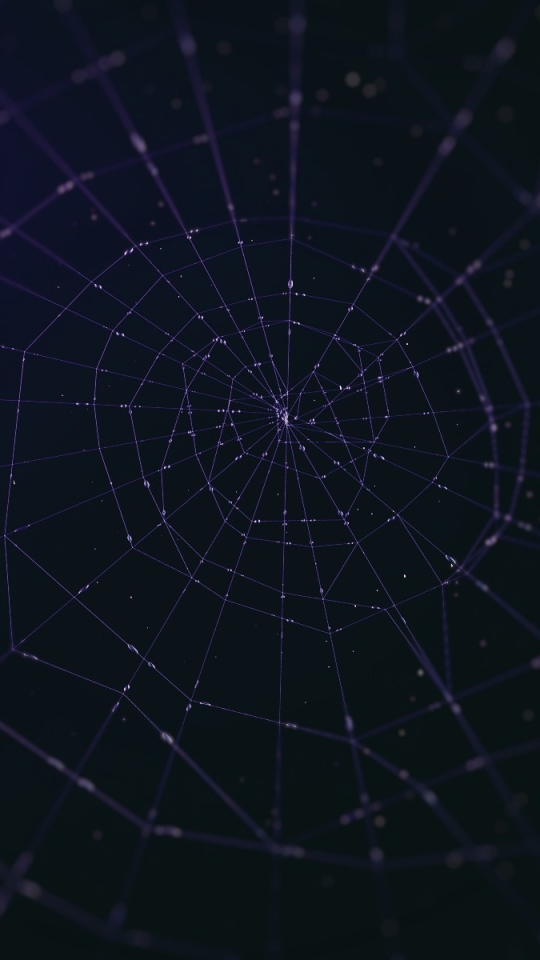 Download mobile wallpaper Photography, Spider Web for free.