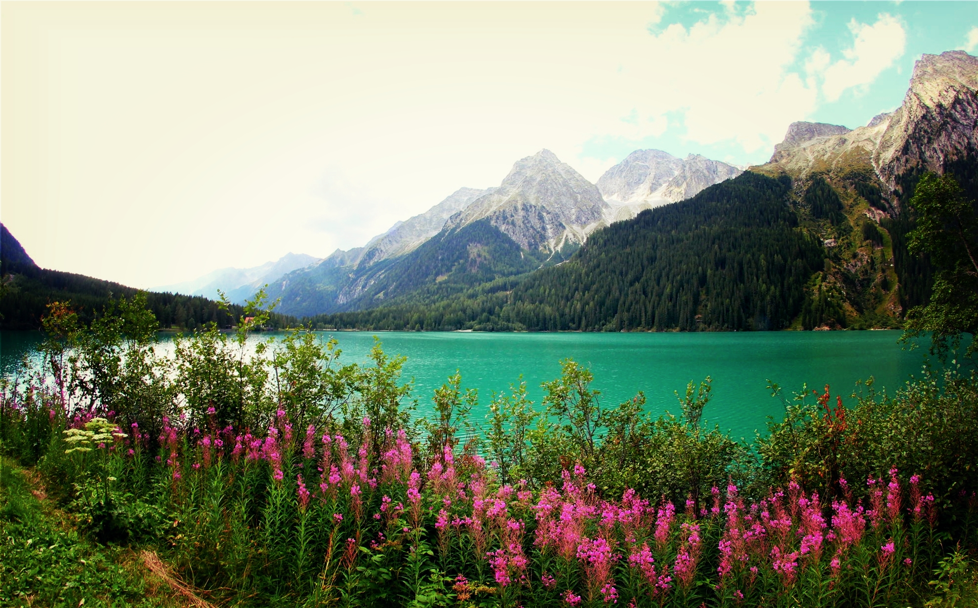 PCデスクトップに湖, 山, 花, 地球, 春, ピンクの花画像を無料でダウンロード