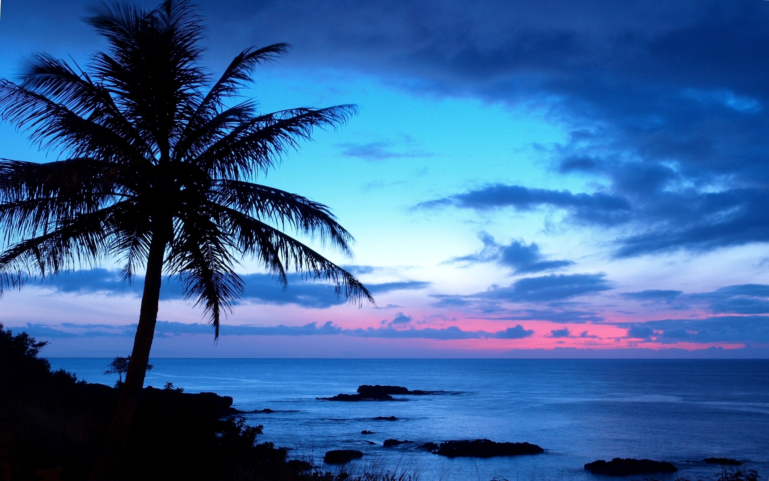 Download mobile wallpaper Sunset, Sky, Horizon, Ocean, Earth, Tropical, Palm Tree for free.
