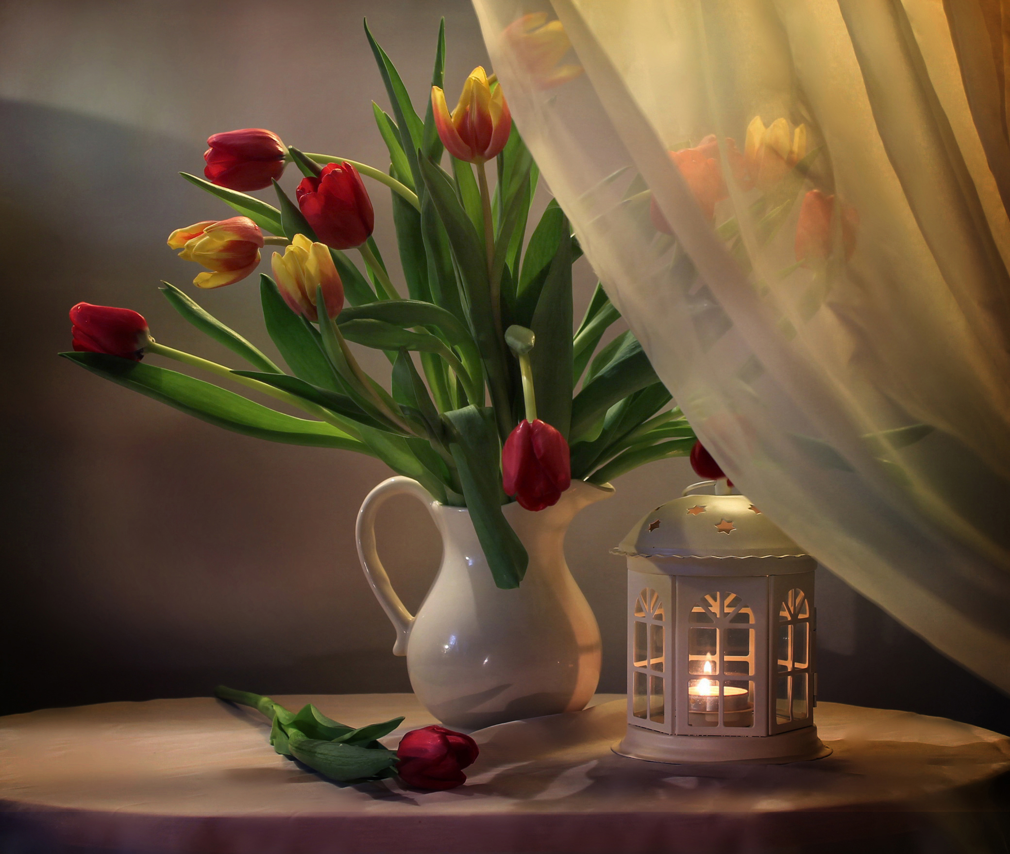 Laden Sie das Laterne, Vase, Vorhang, Tulpe, Fotografie, Stillleben-Bild kostenlos auf Ihren PC-Desktop herunter