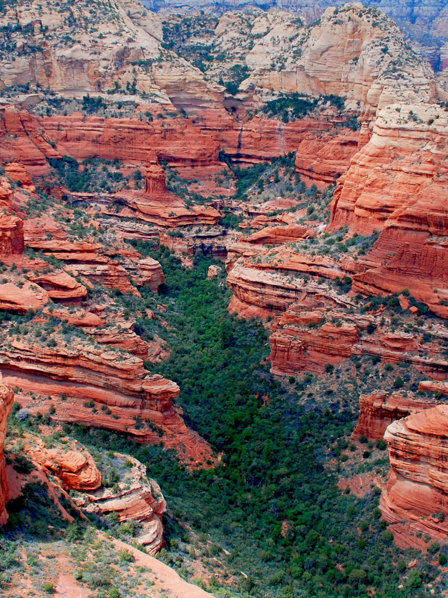 Descarga gratuita de fondo de pantalla para móvil de Cañón, Arizona, Tierra/naturaleza, Sedona, Cañón De Roca Roja.