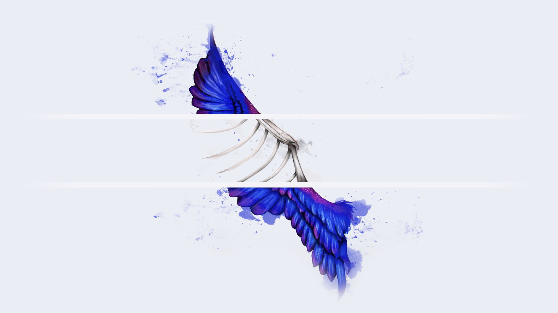 Download mobile wallpaper Feather, Animal, Wings, Artistic for free.