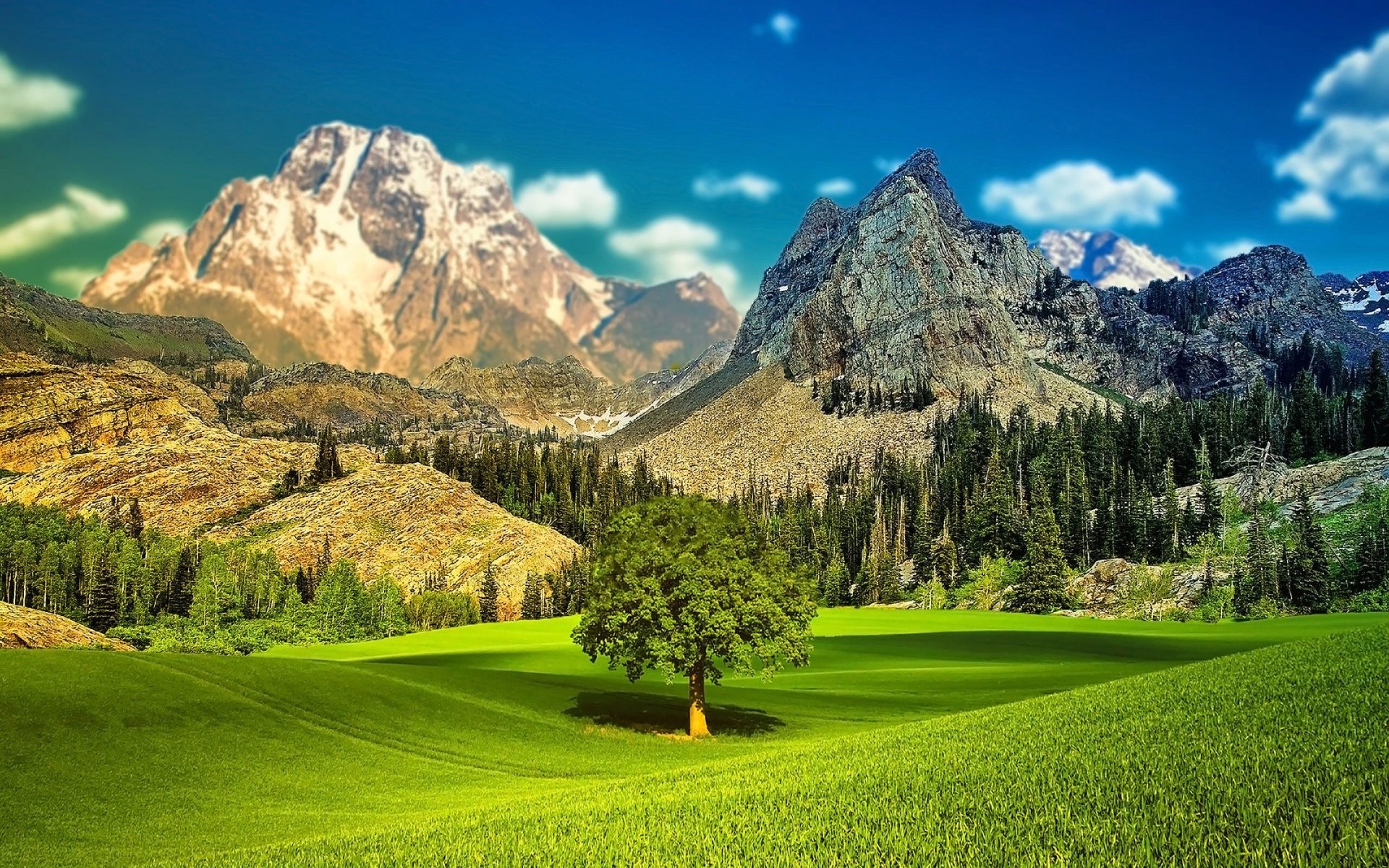 Download mobile wallpaper Landscape, Mountain, Forest, Tree, Earth for free.