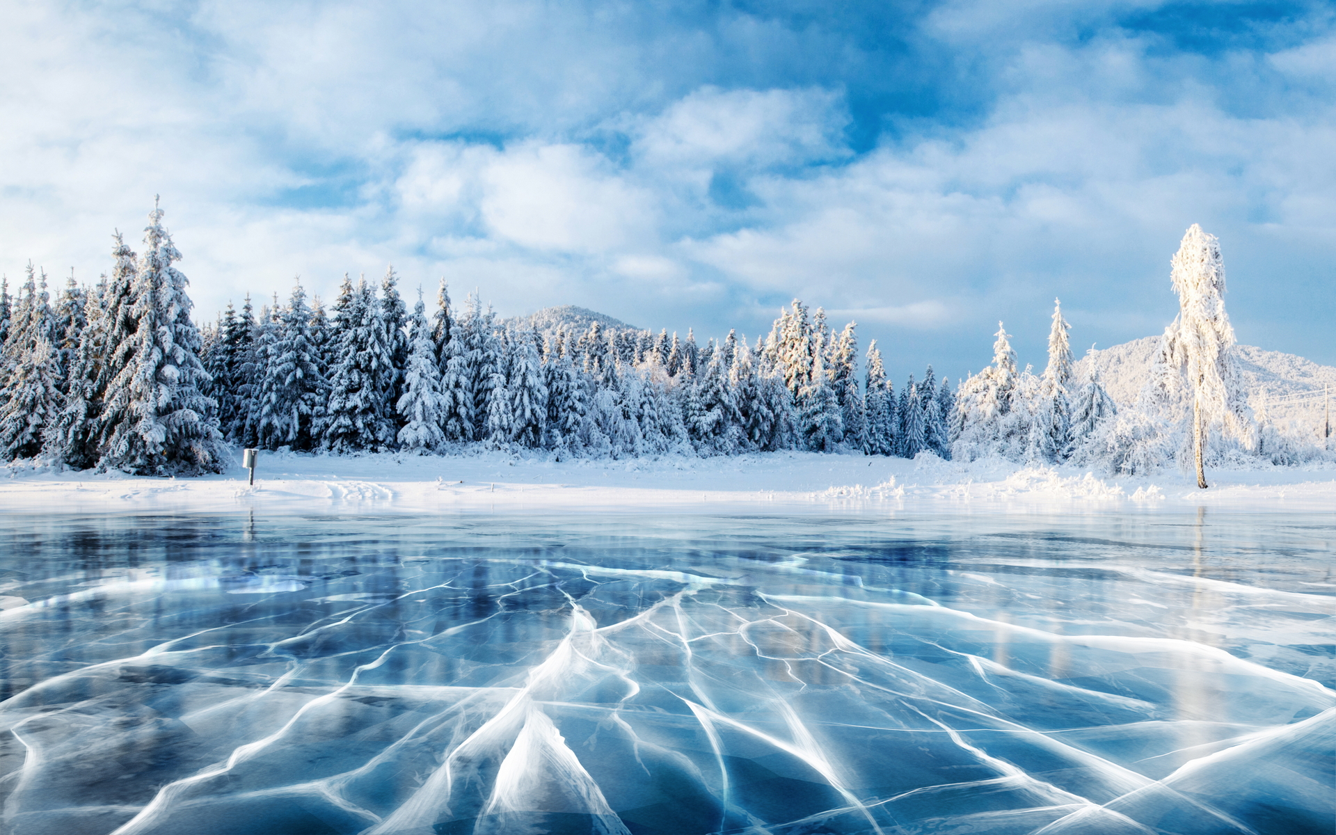 Скачать обои бесплатно Зима, Дерево, Ландшафт, Лёд, Земля/природа картинка на рабочий стол ПК