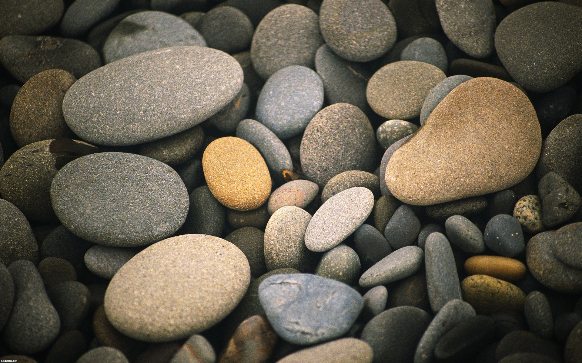 Descarga gratuita de fondo de pantalla para móvil de Piedra, Tierra/naturaleza.