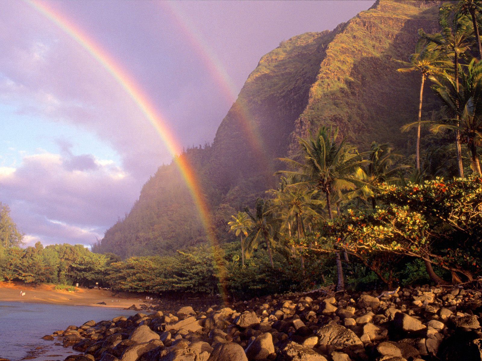 Скачать картинку Гавайи, Тучи, Природа, Небо, Камни, Берег, Пальмы, Радуга в телефон бесплатно.