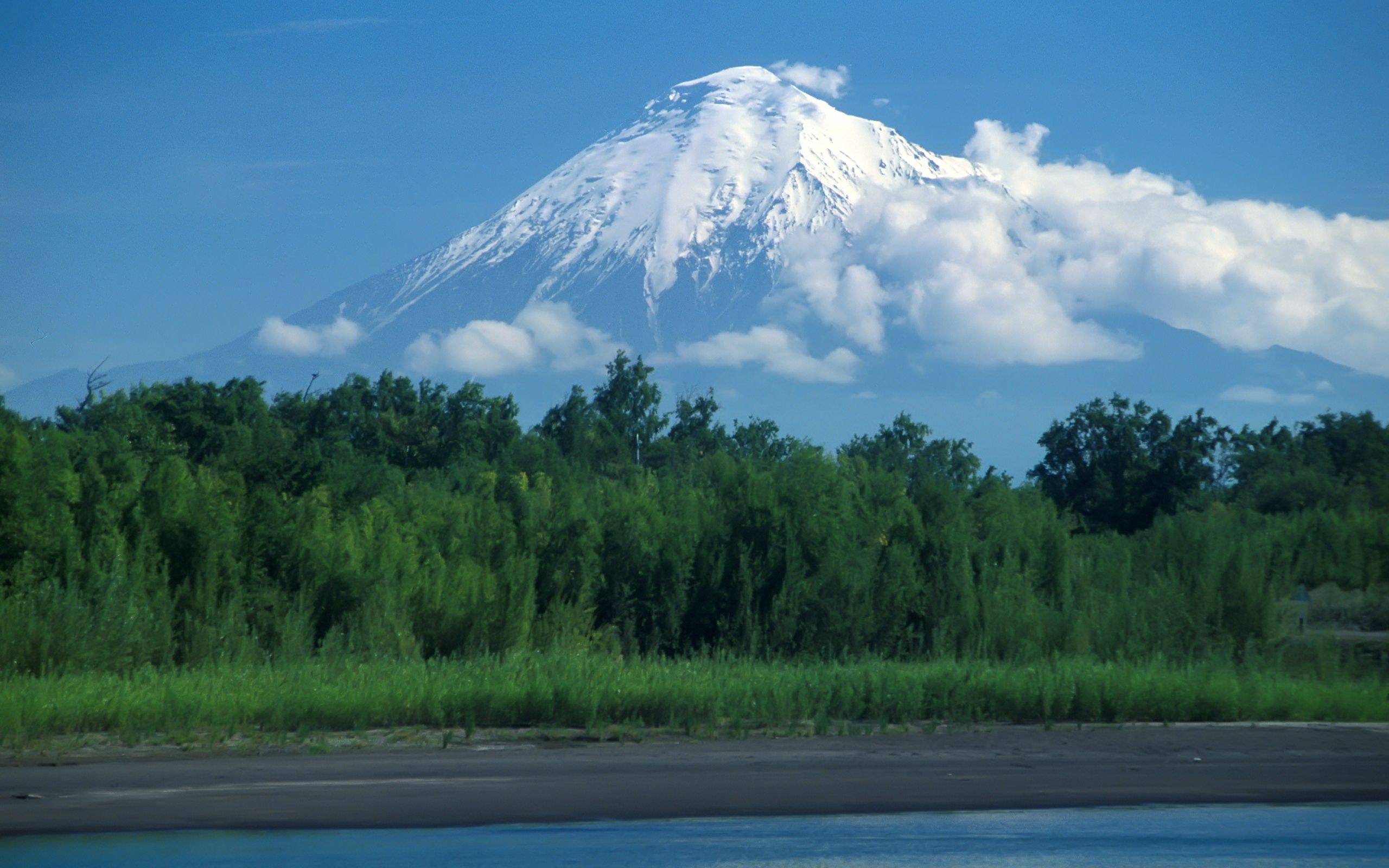 Download mobile wallpaper Kamchatka, Forest, Volcano, Nature for free.