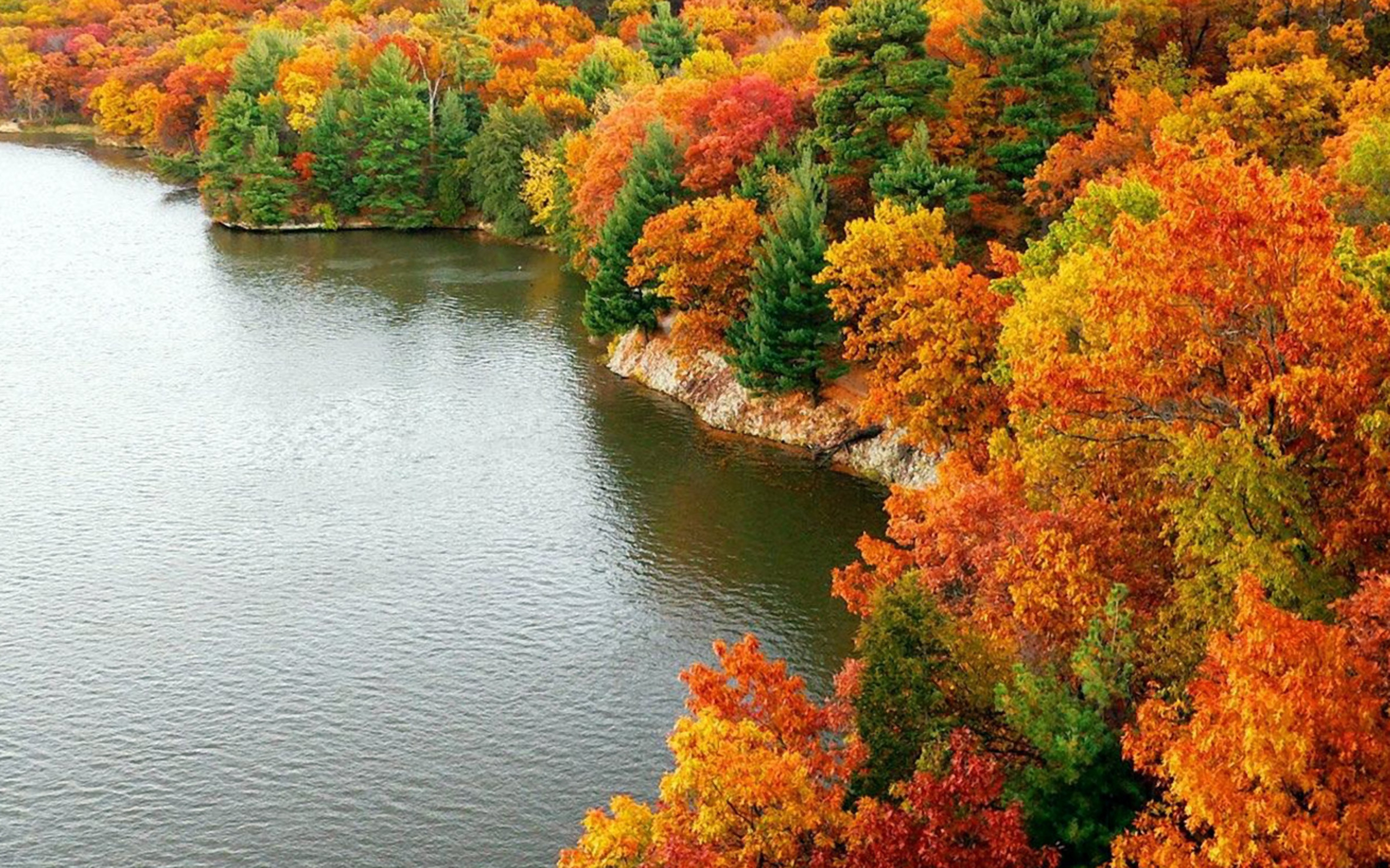Download mobile wallpaper Lake, Coast, Tree, Fall, Earth for free.
