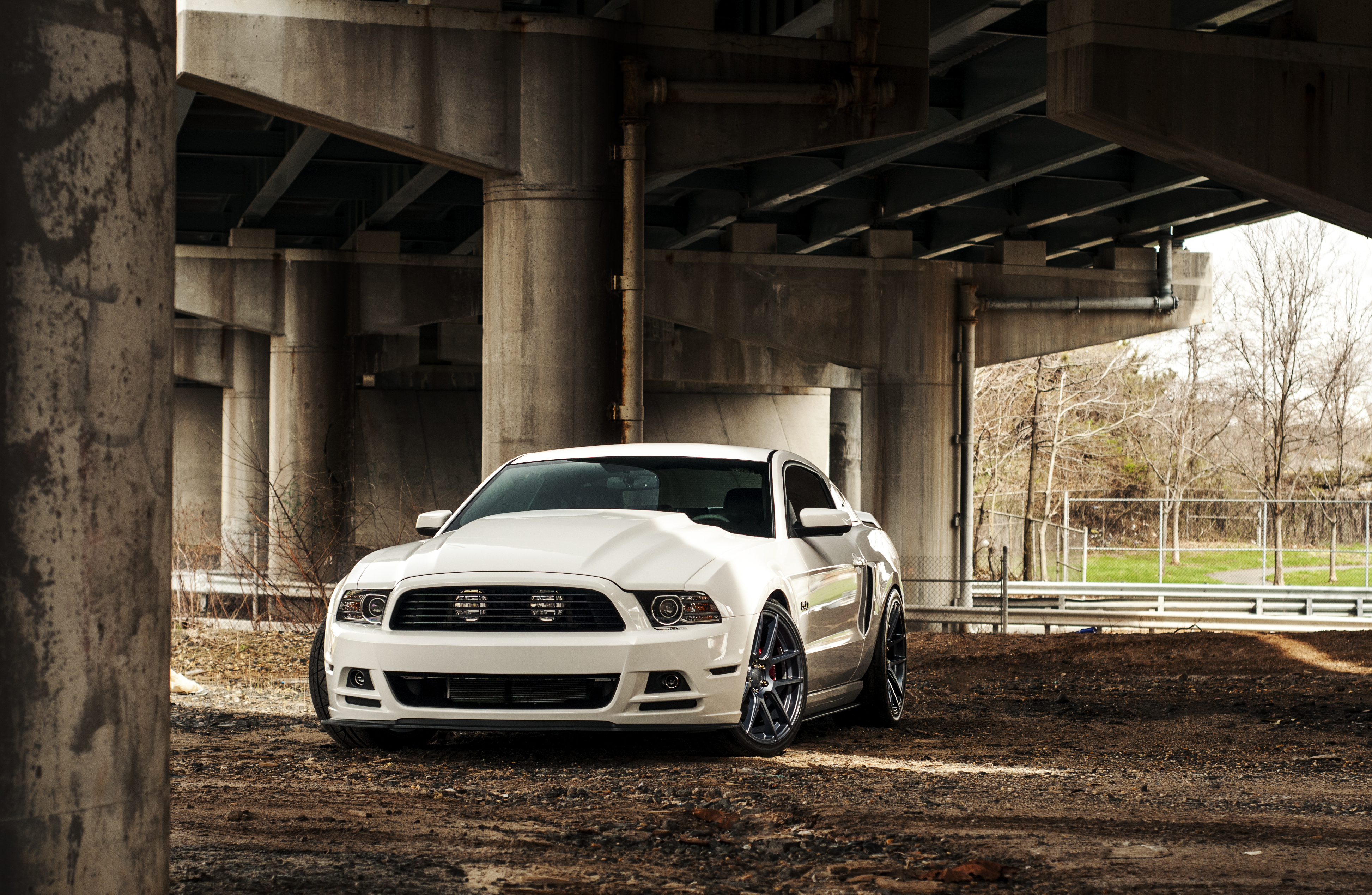 ford, vehicles, ford mustang