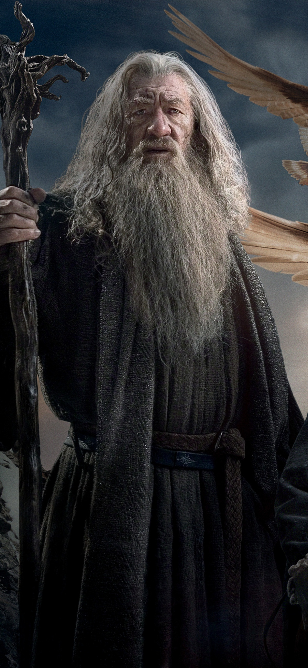 Descarga gratuita de fondo de pantalla para móvil de El Señor De Los Anillos, Barba, Películas, Gandalf, Señor De Los Anillos, El Hobbit: La Batalla De Los Cinco Ejércitos.