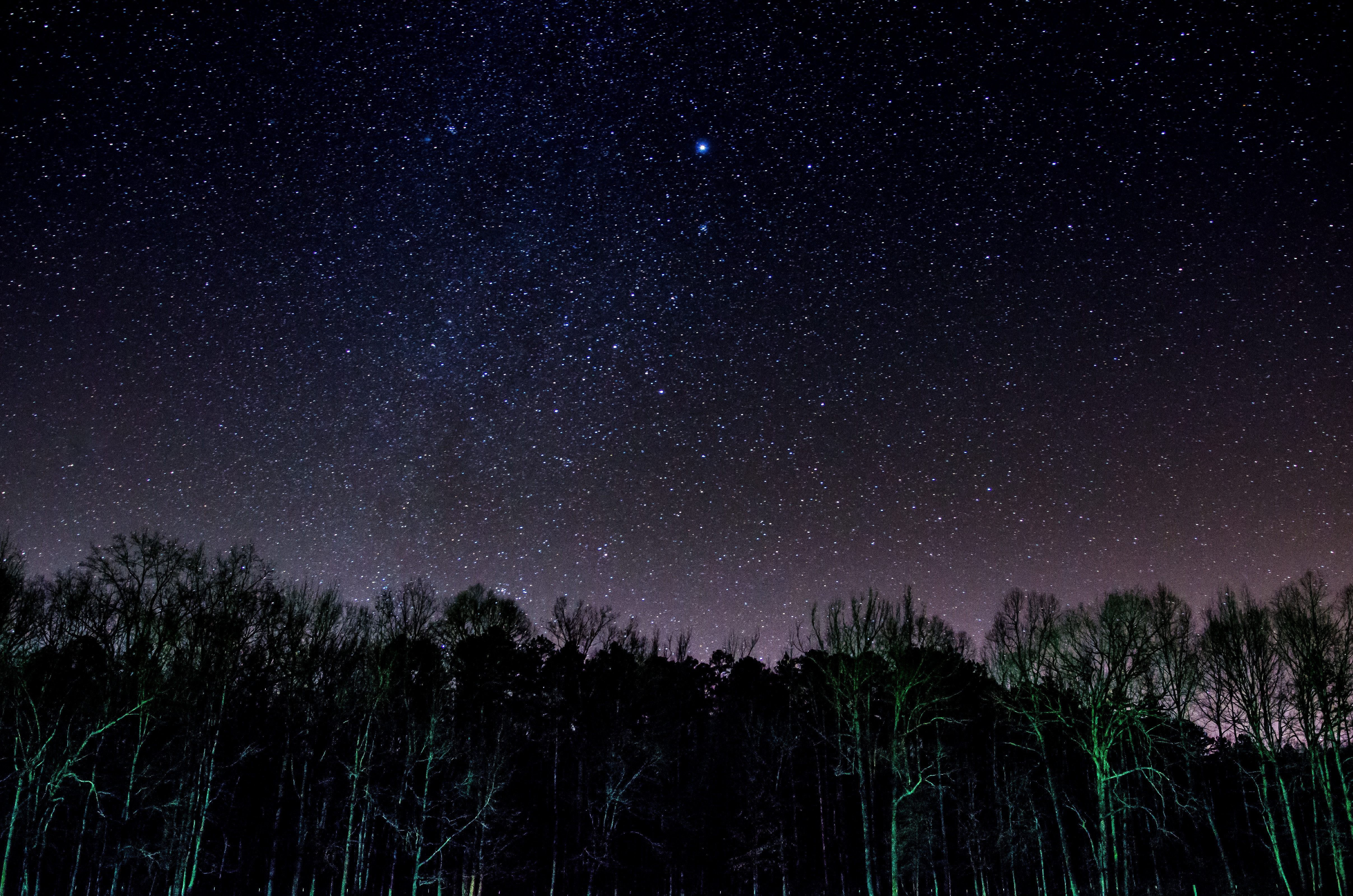 Download mobile wallpaper Nature, Trees, Starry Sky, Night, Shining, Shine, Brilliance for free.