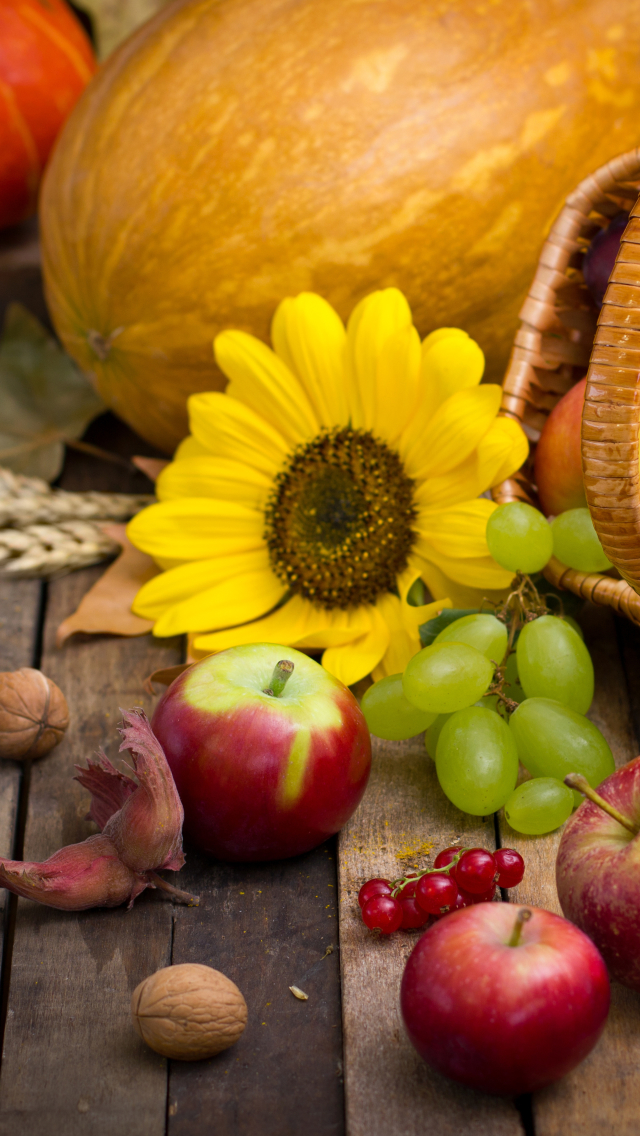 food, still life, pear, fall, sunflower, harvest, apple, grapes mobile wallpaper