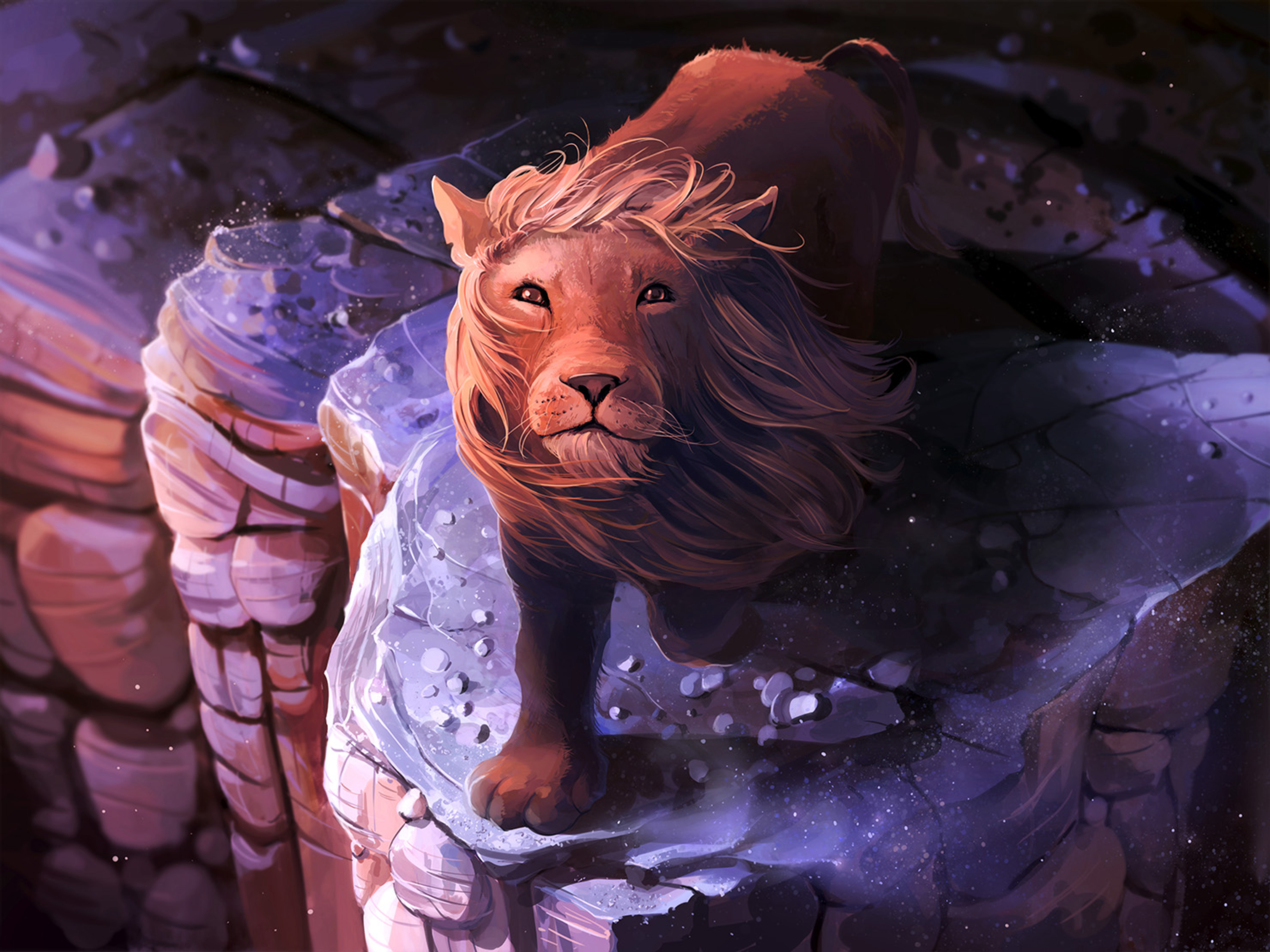 71081 descargar fondo de pantalla arte, un leon, león, melena, rey de las bestias: protectores de pantalla e imágenes gratis