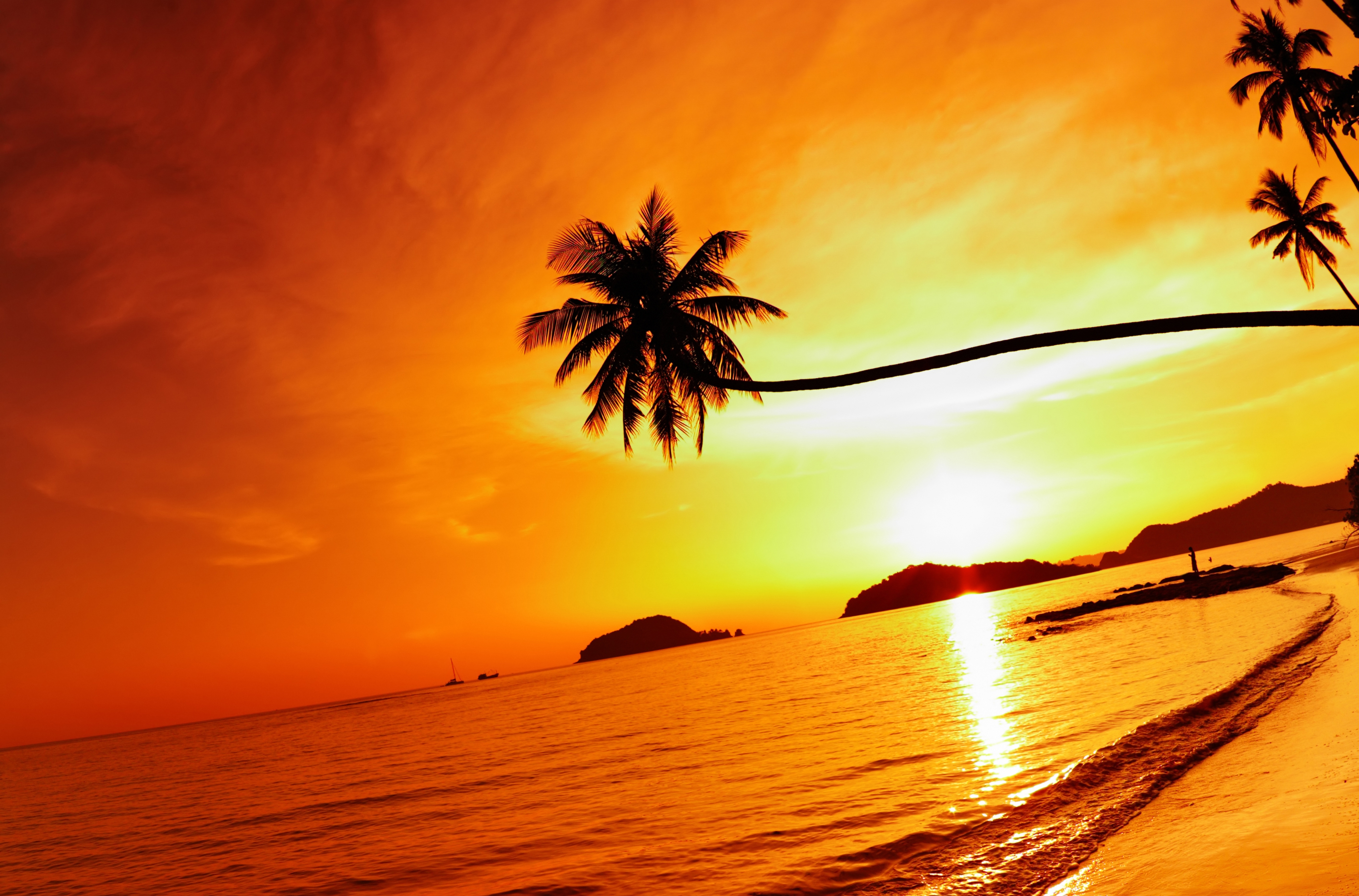 688768 скачать обои таиланд, море, пальмы, земля/природа, закат солнца, пляж, небо - заставки и картинки бесплатно