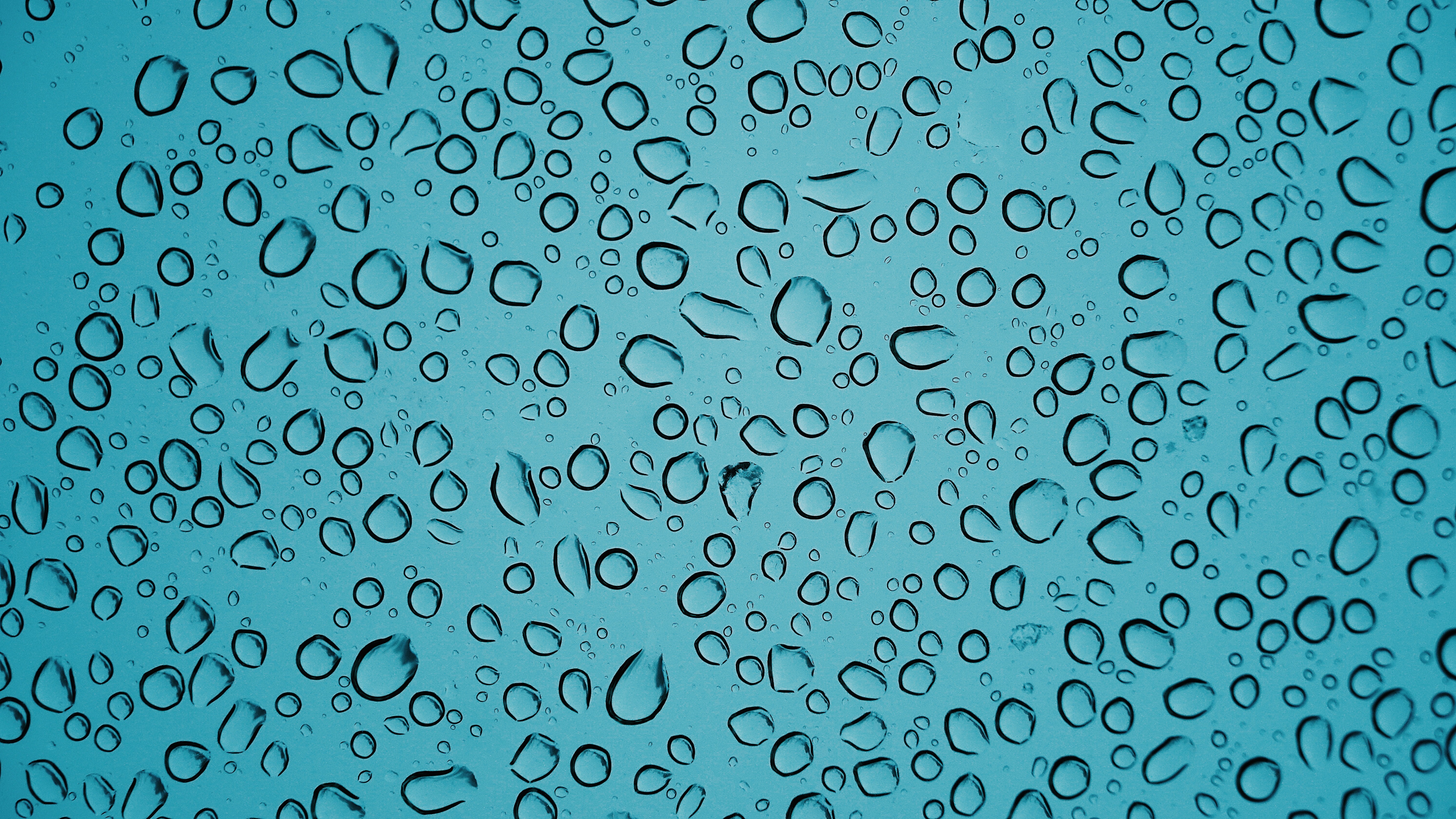 Download mobile wallpaper Macro, Wet, Water, Drops, Surface for free.