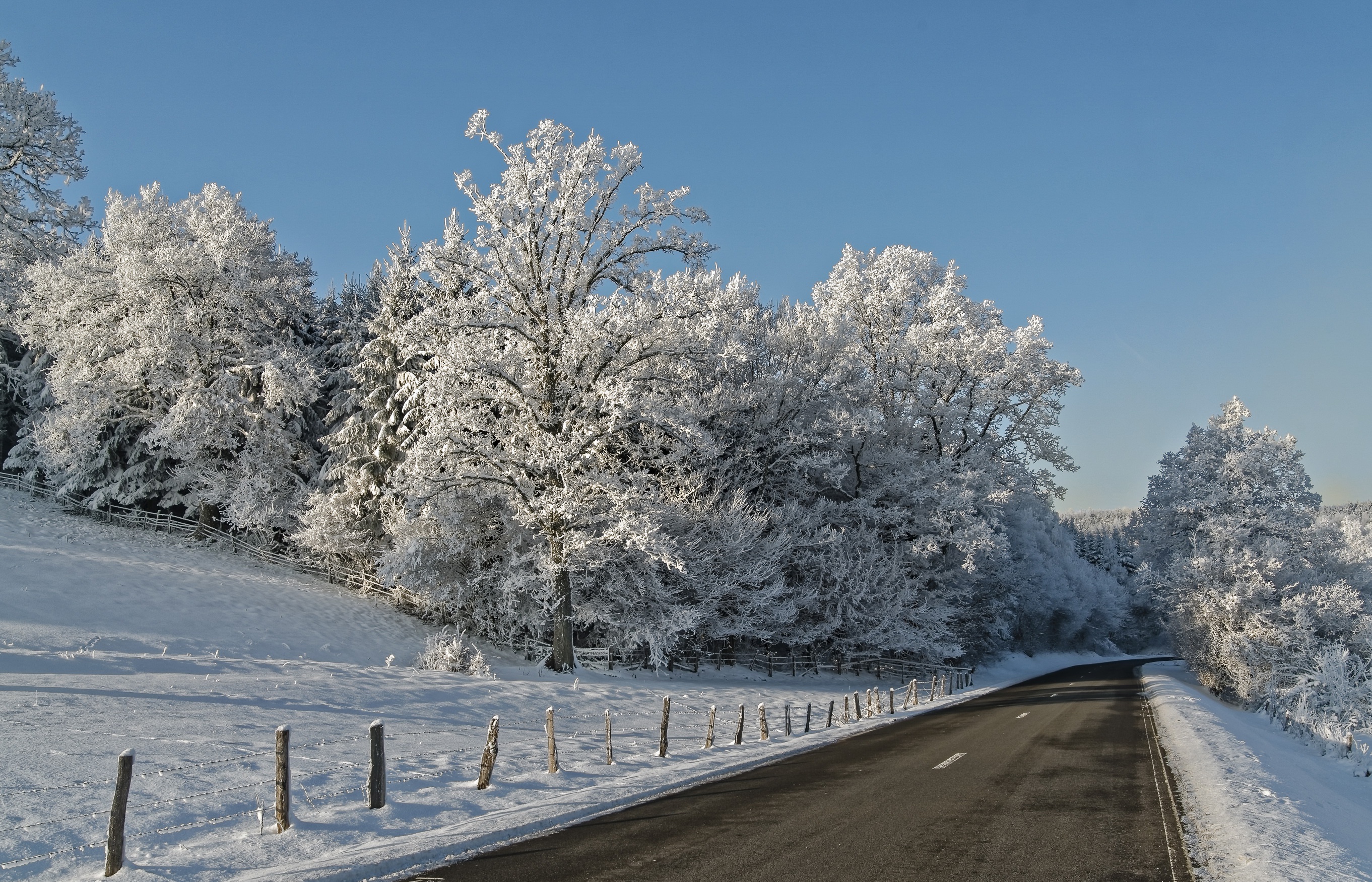 Baixe gratuitamente a imagem Inverno, Natureza, Neve, Estrada, Floresta, Feito Pelo Homem na área de trabalho do seu PC
