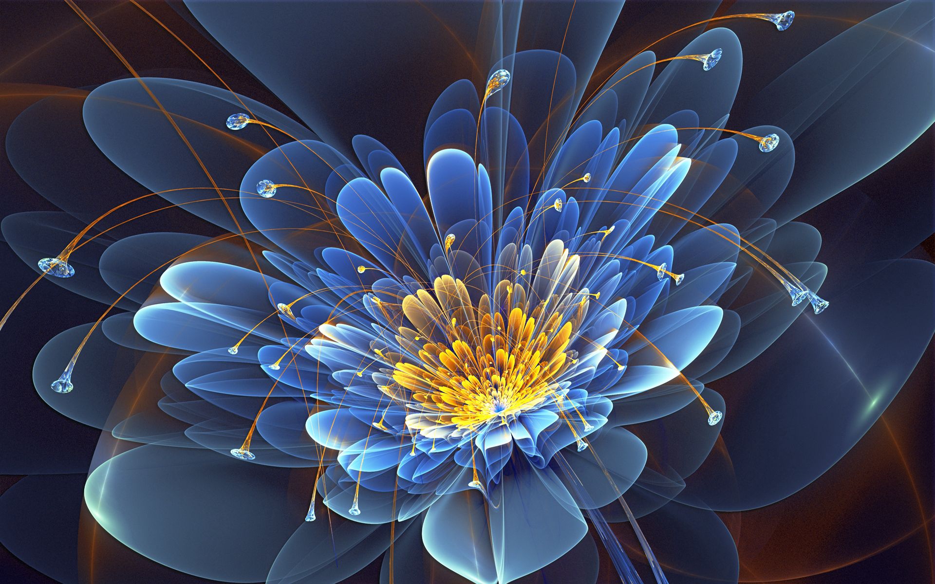 fractal, flower, abstract, petals