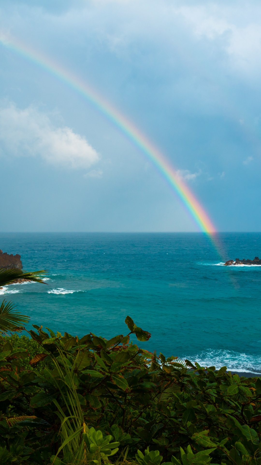 1287725 Hintergrundbild herunterladen erde/natur, regenbogen, natur, hawaii, horizont, palme, strauch, tropisch, ozean - Bildschirmschoner und Bilder kostenlos