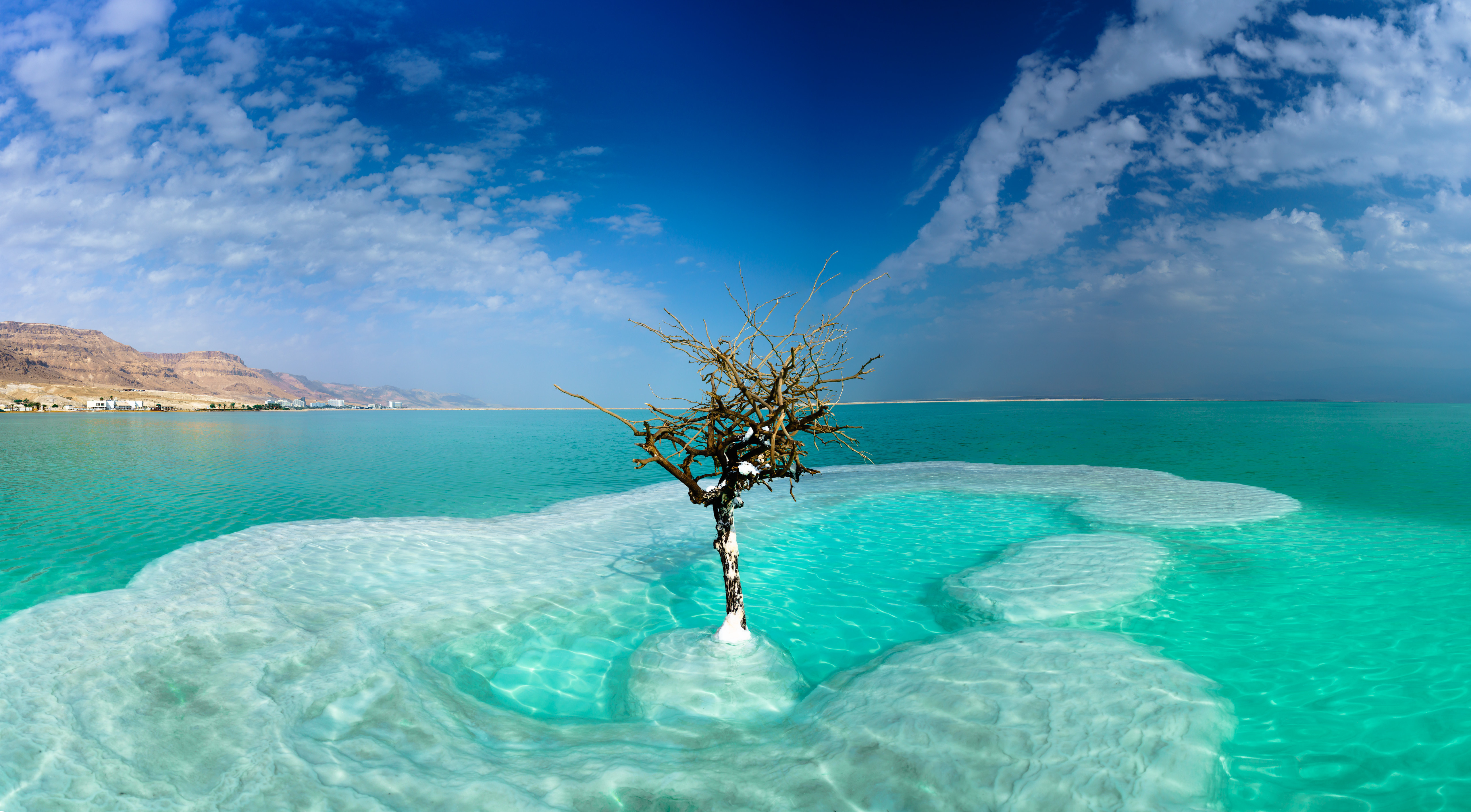 483795 скачать обои мертвое море, израиль, море, земля/природа, дерево, небо, бирюзовый, деревья - заставки и картинки бесплатно