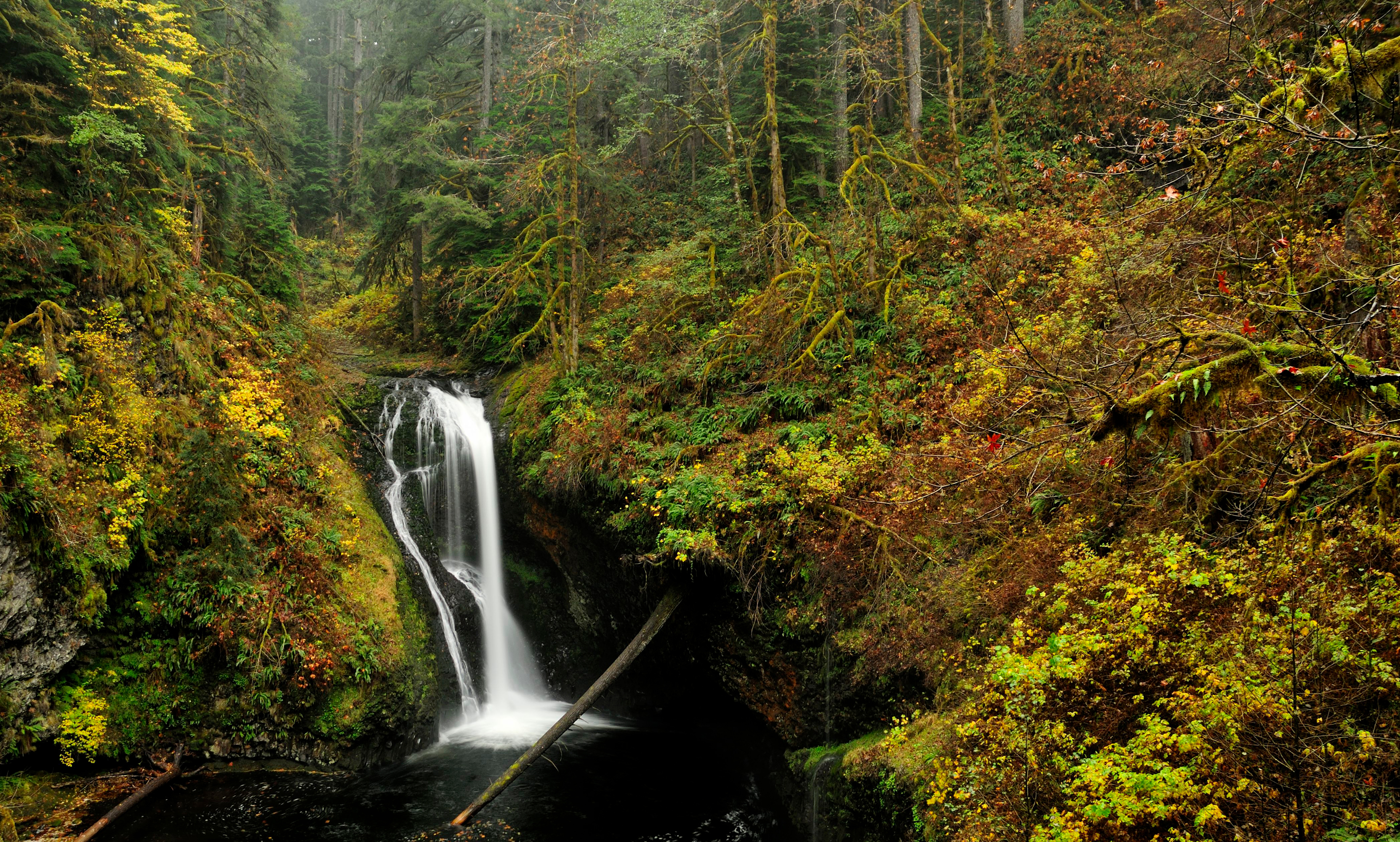 Descarga gratuita de fondo de pantalla para móvil de Otoño, Cascadas, Cascada, Bosque, Tierra/naturaleza.