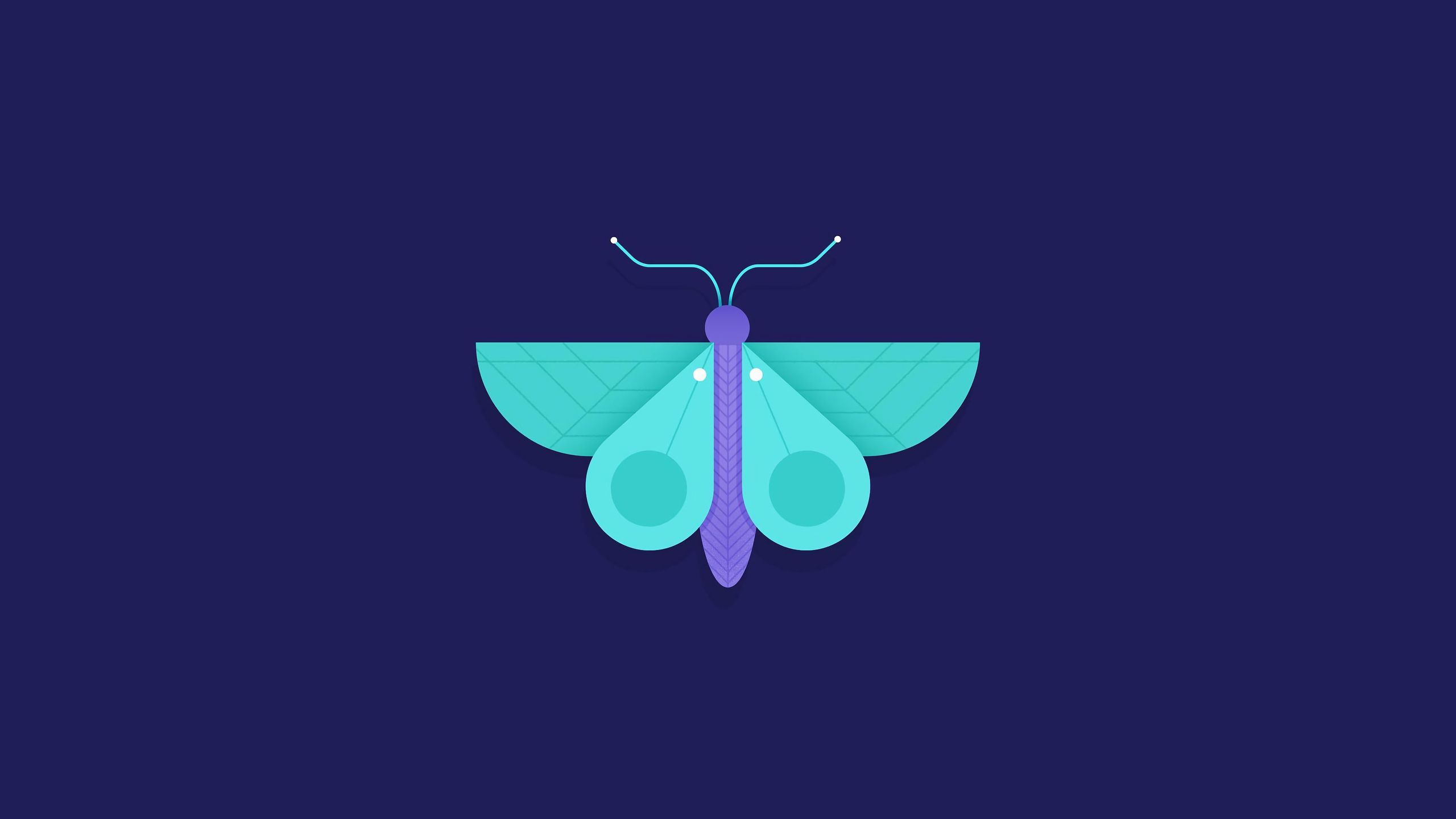 Download mobile wallpaper Butterfly, Artistic, Geometry, Minimalist for free.