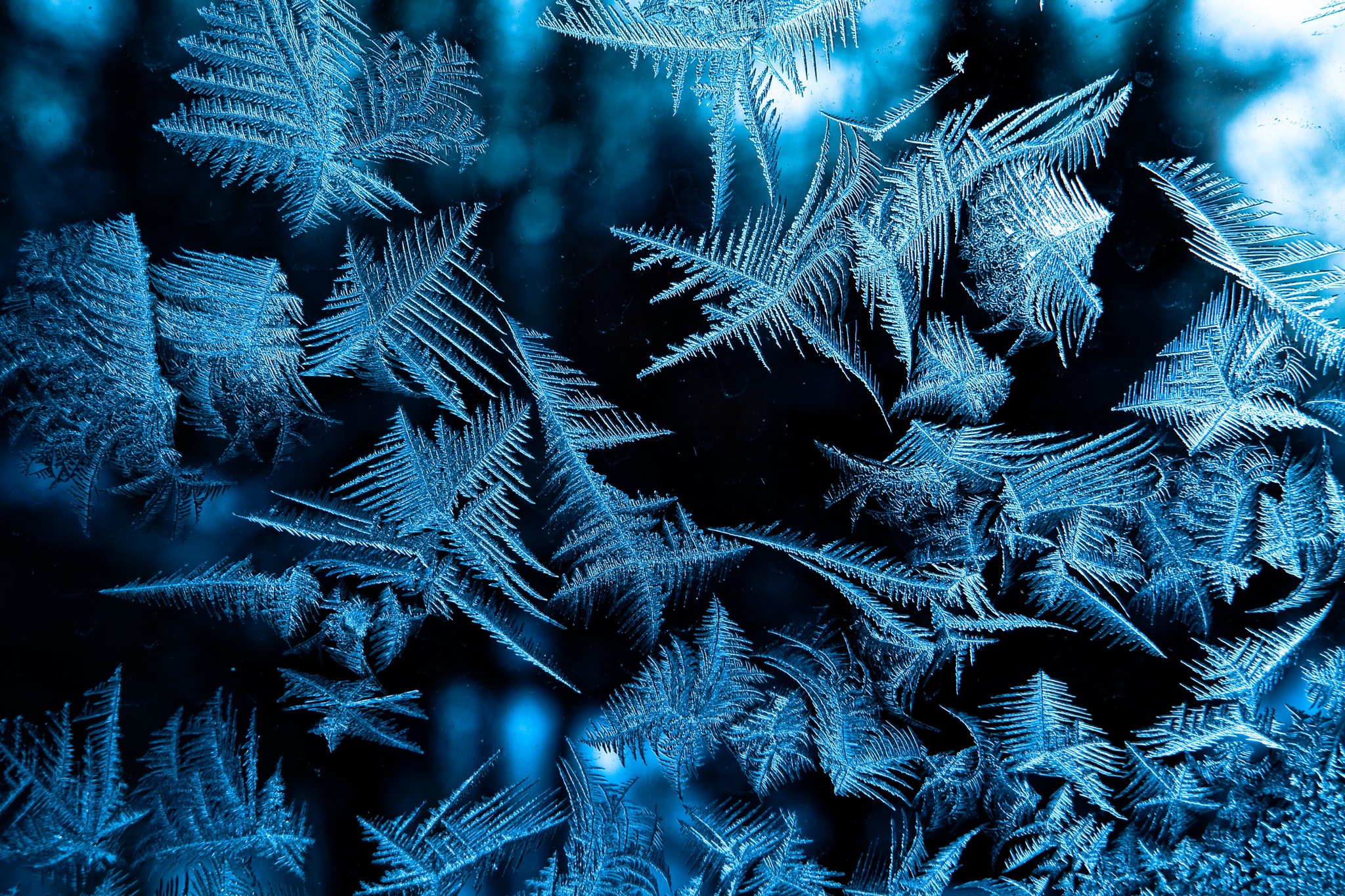 Download mobile wallpaper Winter, Pattern, Earth, Frost for free.