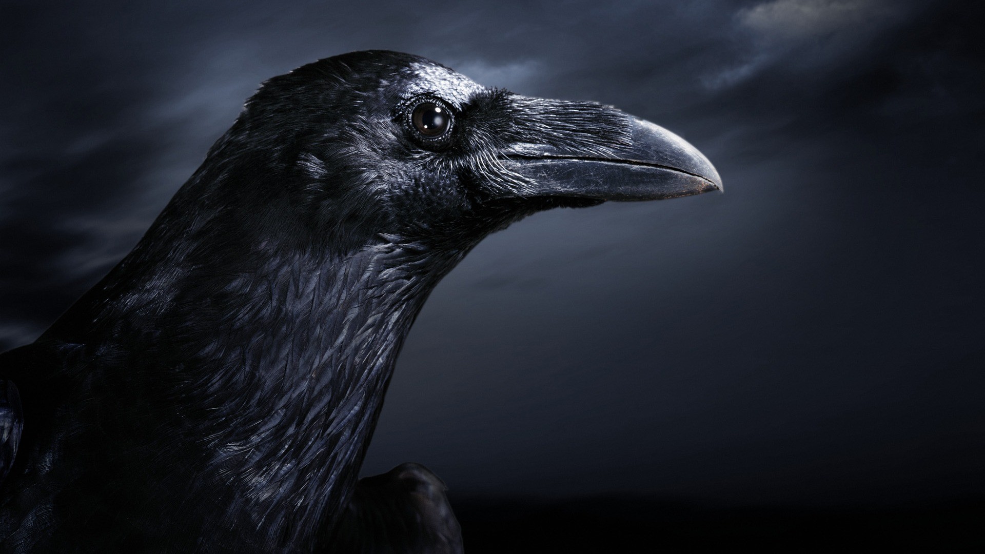 223067 Hintergrundbild herunterladen filme, the crow die krähe, dunkel - Bildschirmschoner und Bilder kostenlos