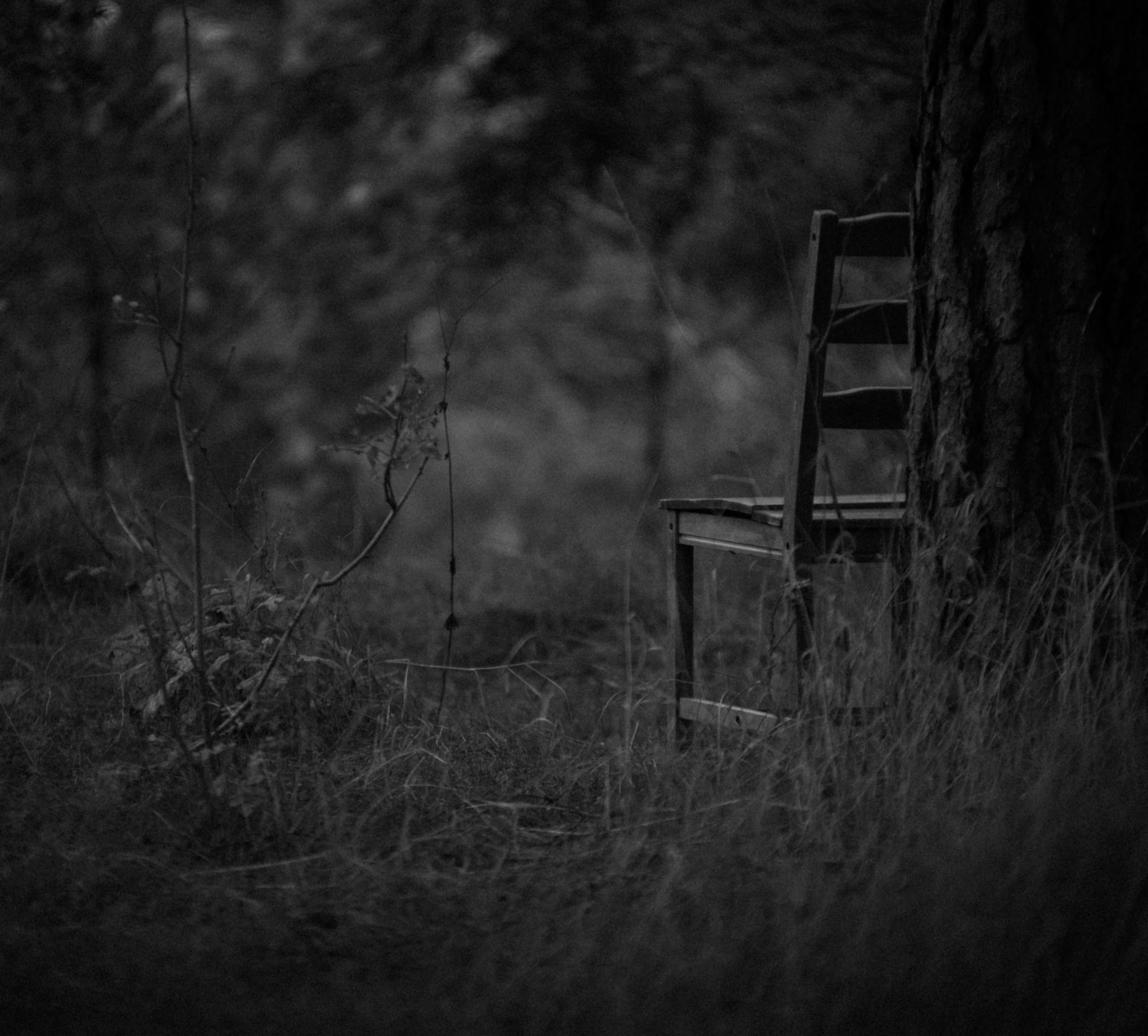 wallpapers minimalism, gloomy, grass, forest, chair, bw, chb