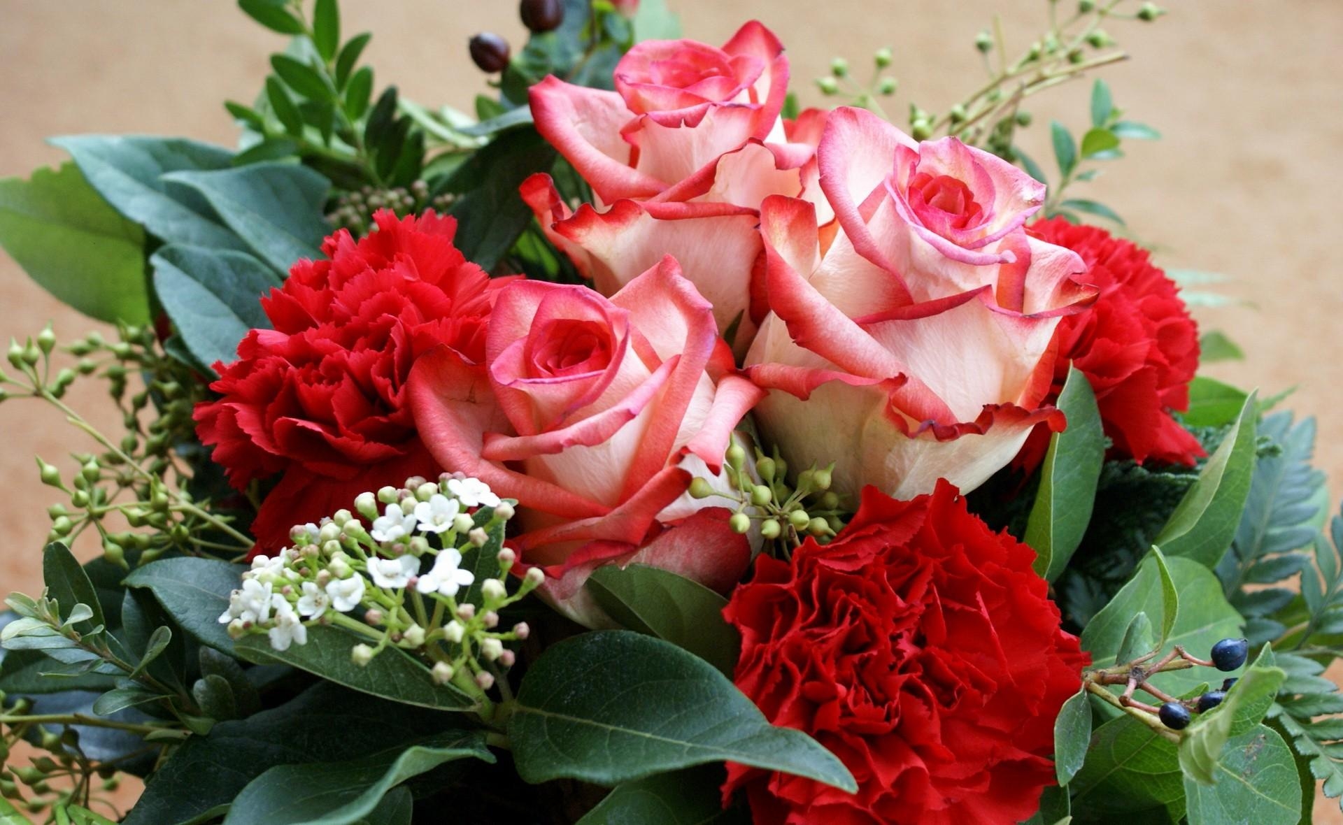 desktop Images flowers, roses, leaves, carnations, bouquet