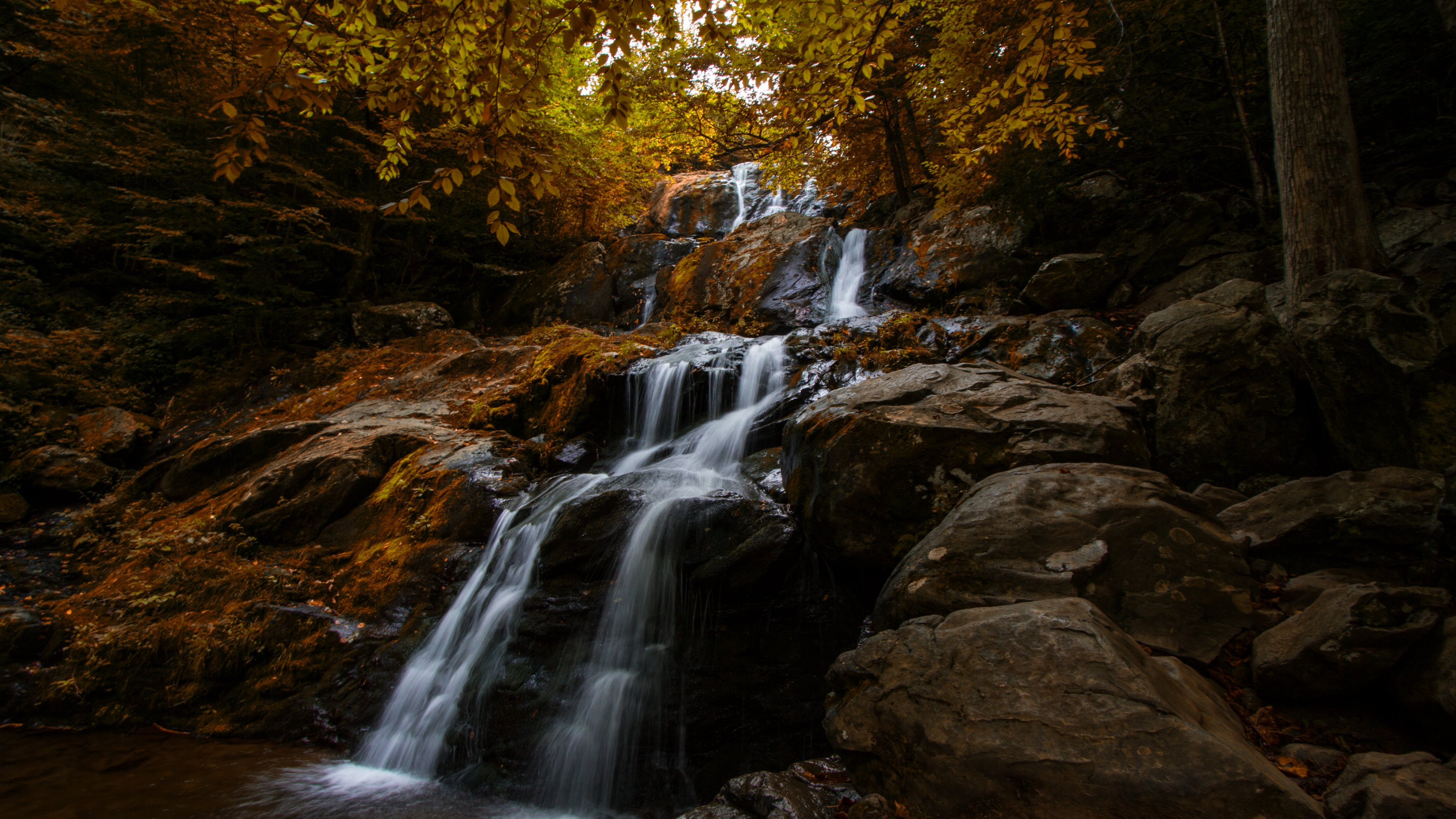 Handy-Wallpaper Herbst, Wasserfälle, Wasserfall, Wald, Erde/natur kostenlos herunterladen.