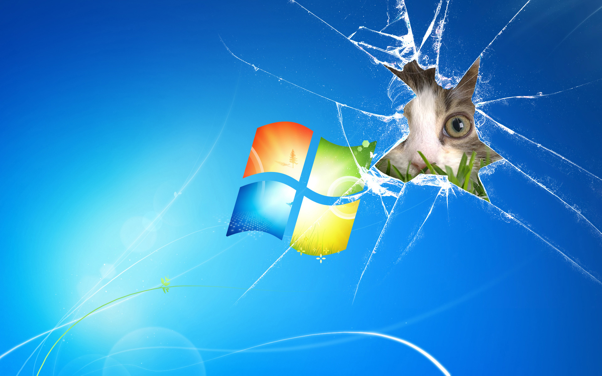 Laden Sie das Humor, Microsoft, Katze, Computer-Bild kostenlos auf Ihren PC-Desktop herunter