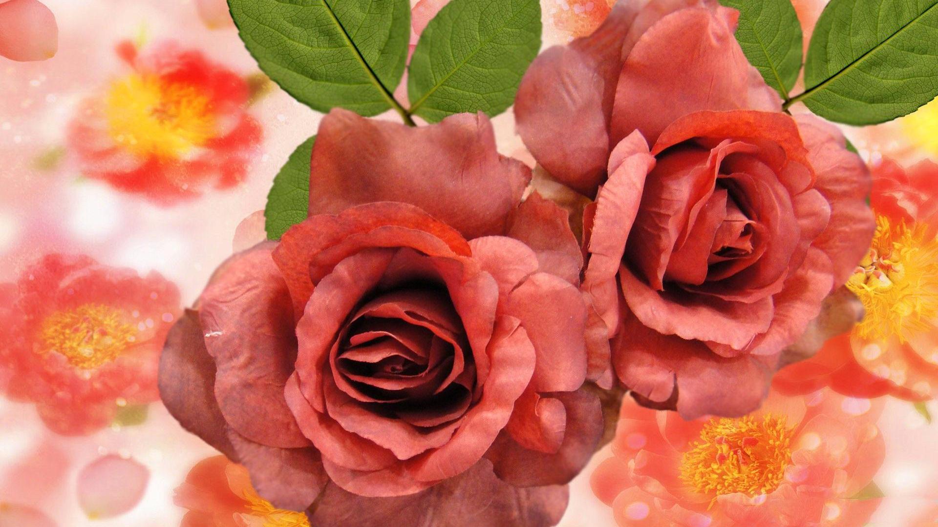 Téléchargez des papiers peints mobile Fleurs, Rose, Fleur, Fermer, Fleur Rouge, La Nature, Terre/nature gratuitement.
