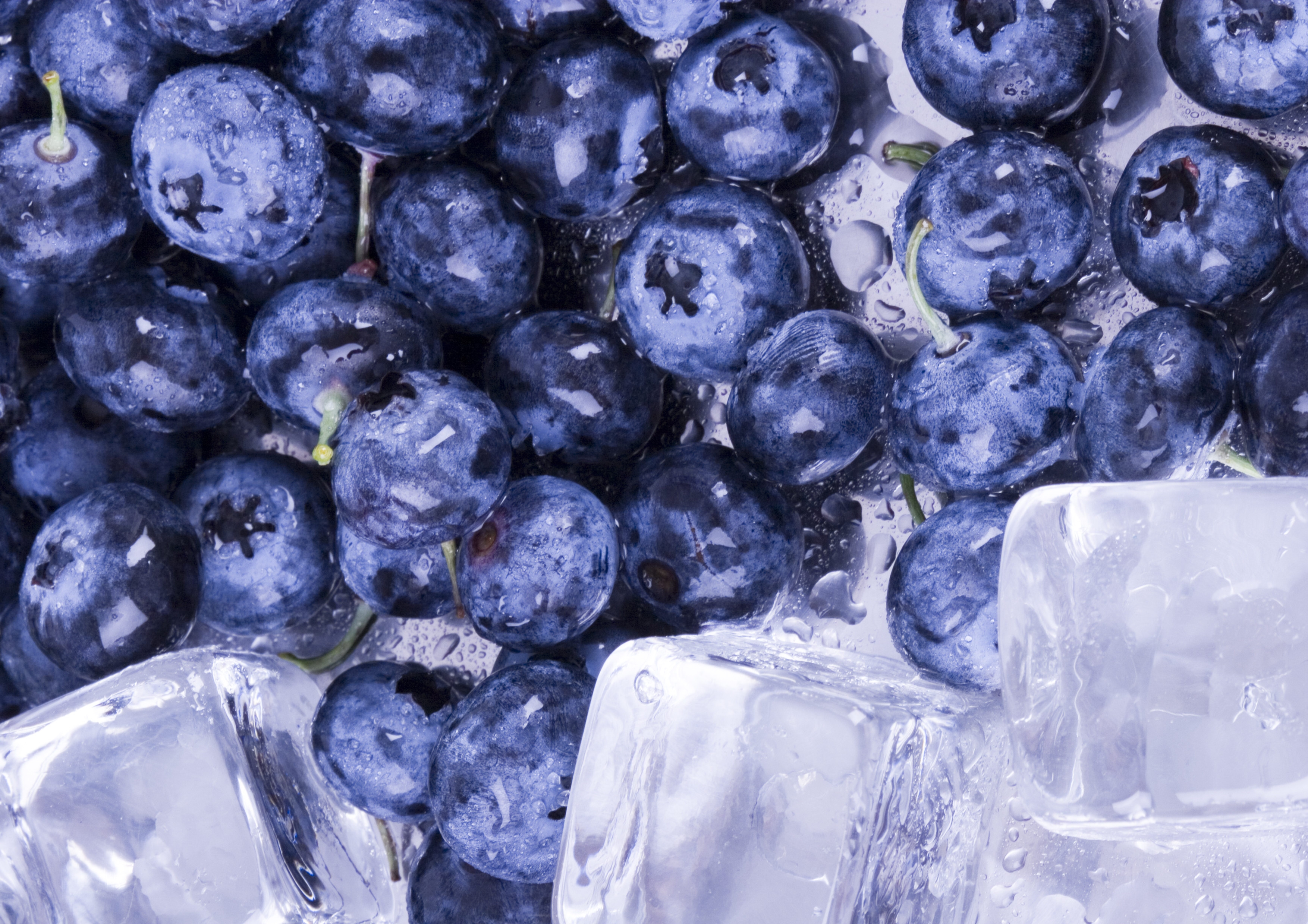 Laden Sie das Wasser, Lebensmittel, Eis, Blaubeeren, Berries-Bild kostenlos auf Ihren PC-Desktop herunter