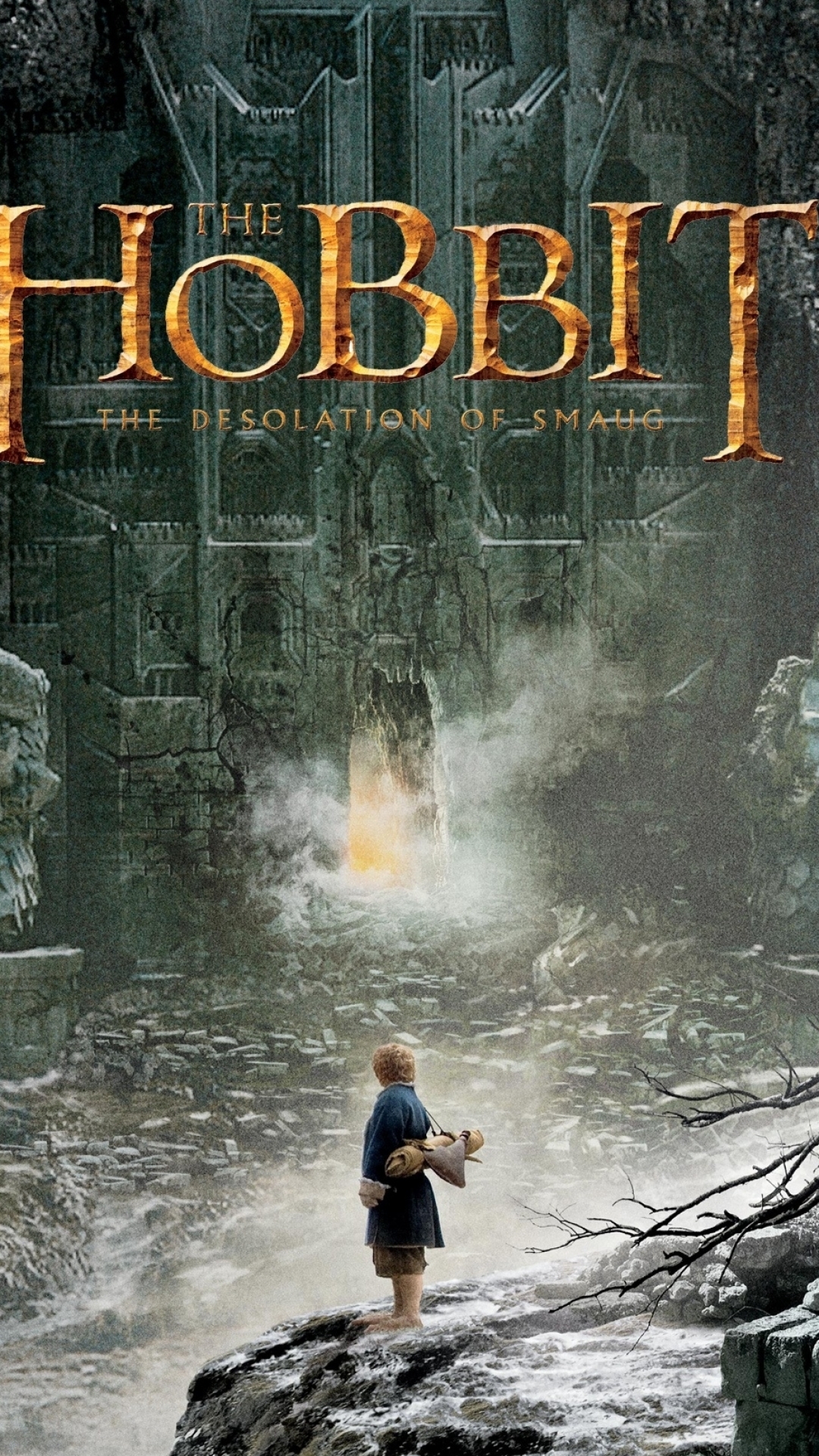 Download mobile wallpaper Movie, The Lord Of The Rings, The Hobbit: The Desolation Of Smaug for free.