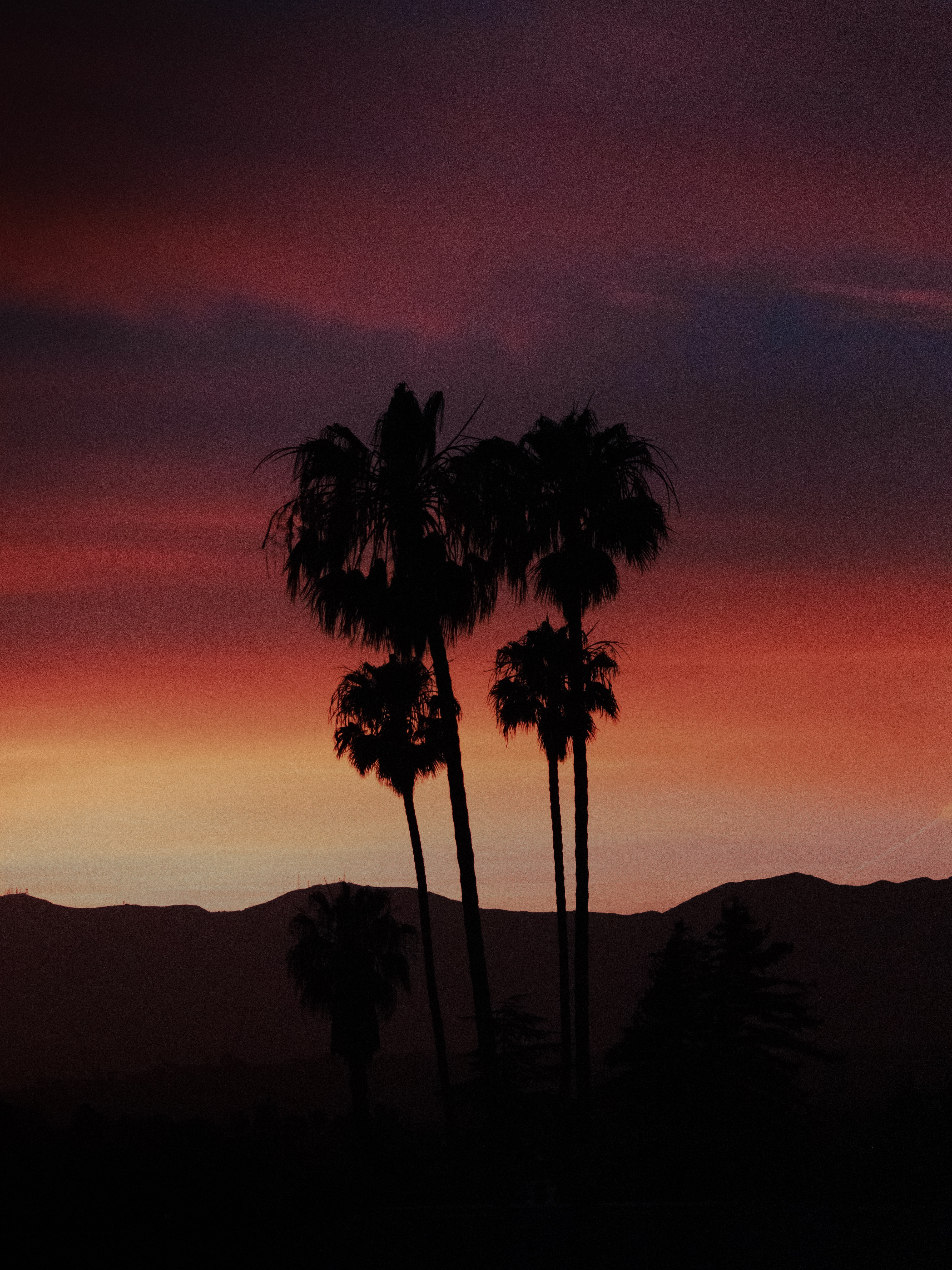 Download mobile wallpaper Nature, Evening, Sunset, Palms, Silhouette for free.