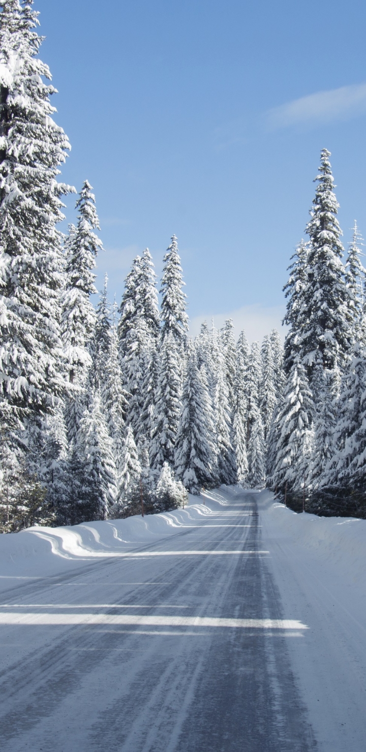 Download mobile wallpaper Winter, Snow, Usa, Road, Forest, Tree, Photography for free.