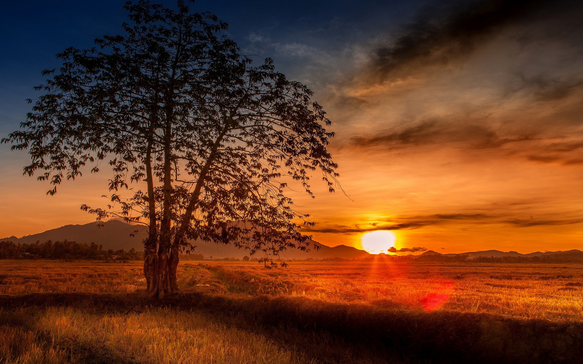 Téléchargez gratuitement l'image Coucher De Soleil, Terre/nature sur le bureau de votre PC