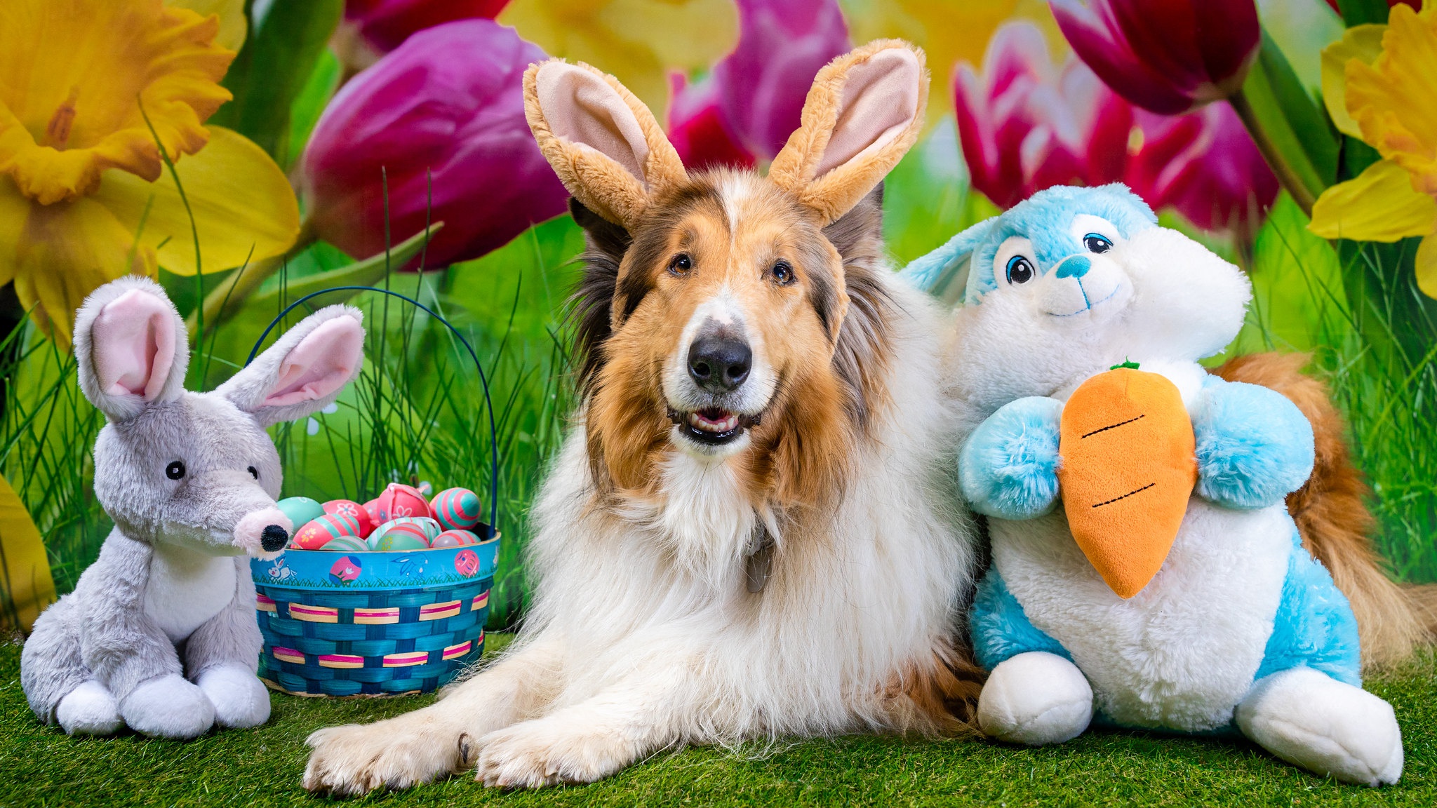 Download mobile wallpaper Dogs, Easter, Dog, Animal, Stuffed Animal for free.