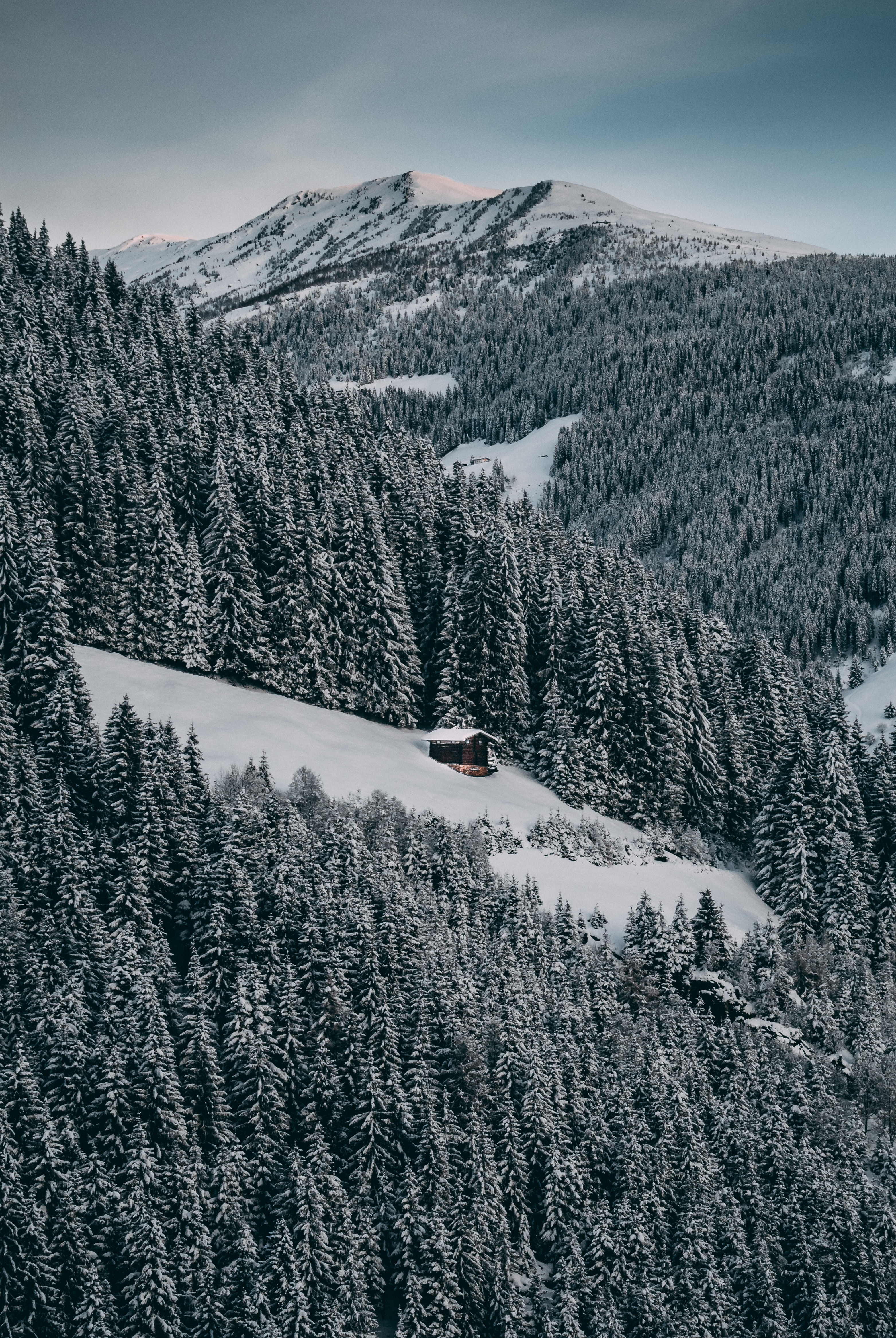 vertical wallpaper nature, winter, trees, sky, snow, forest, small house, lodge, elevation