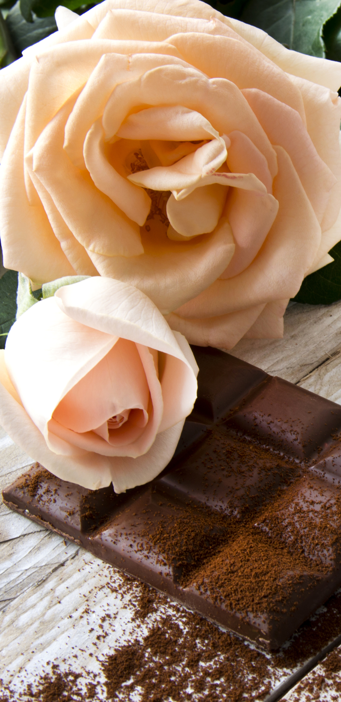 Descarga gratuita de fondo de pantalla para móvil de Rosa, Chocolate, Flor Rosa, Fotografía, Bodegón.